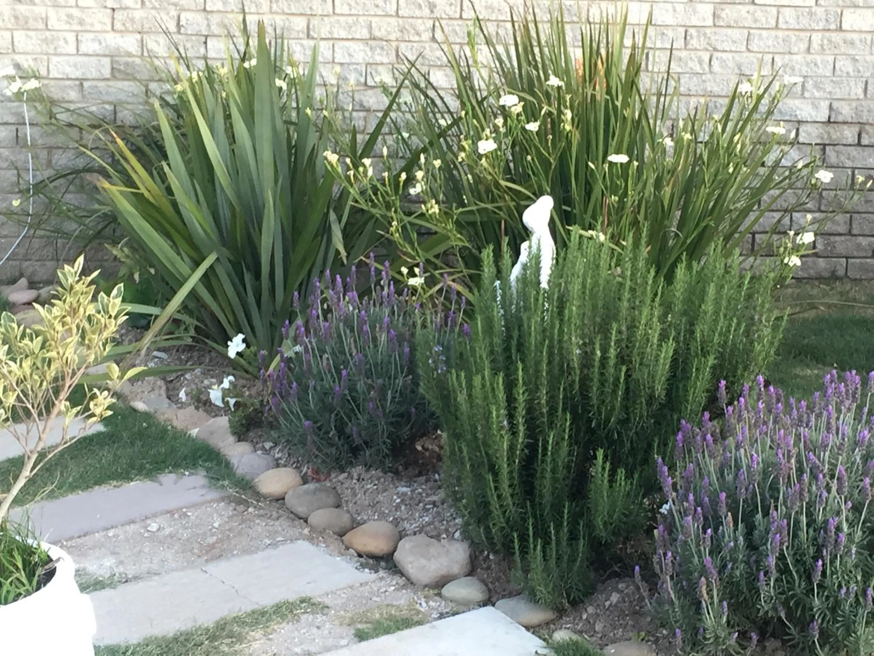 Garden in 57 On Wellington Accommodation