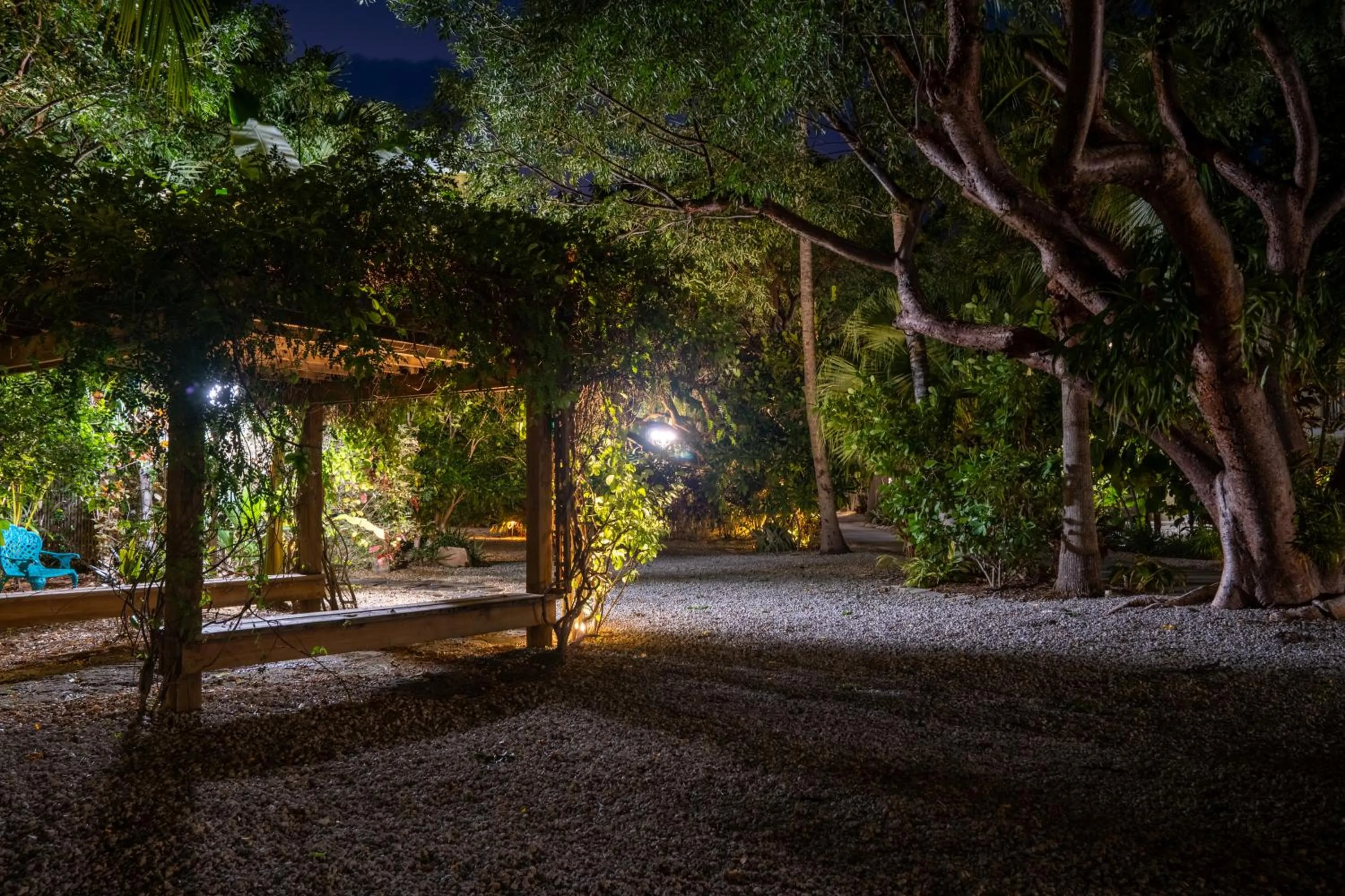 Natural landscape in Coconut Bay Resort - Key Largo
