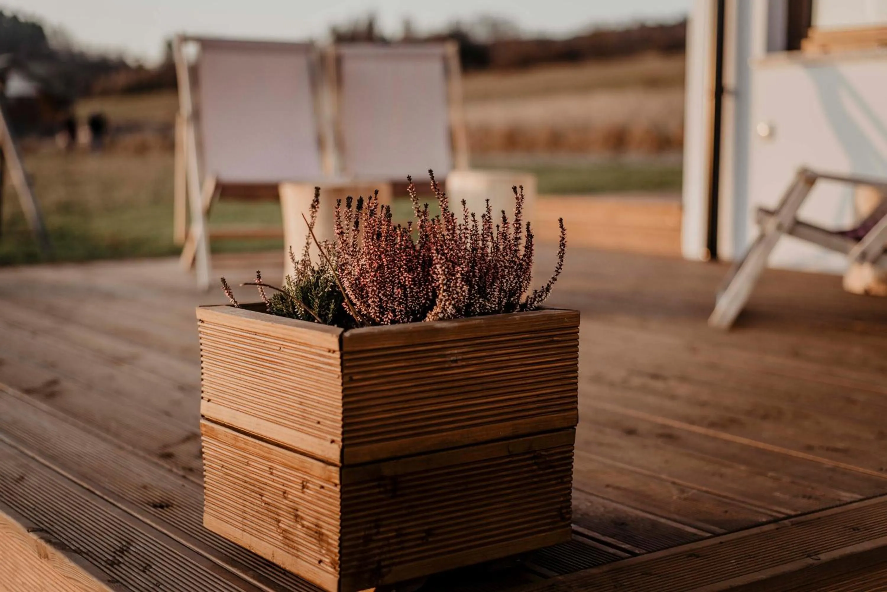 Patio in Domki Pod Wulkanem
