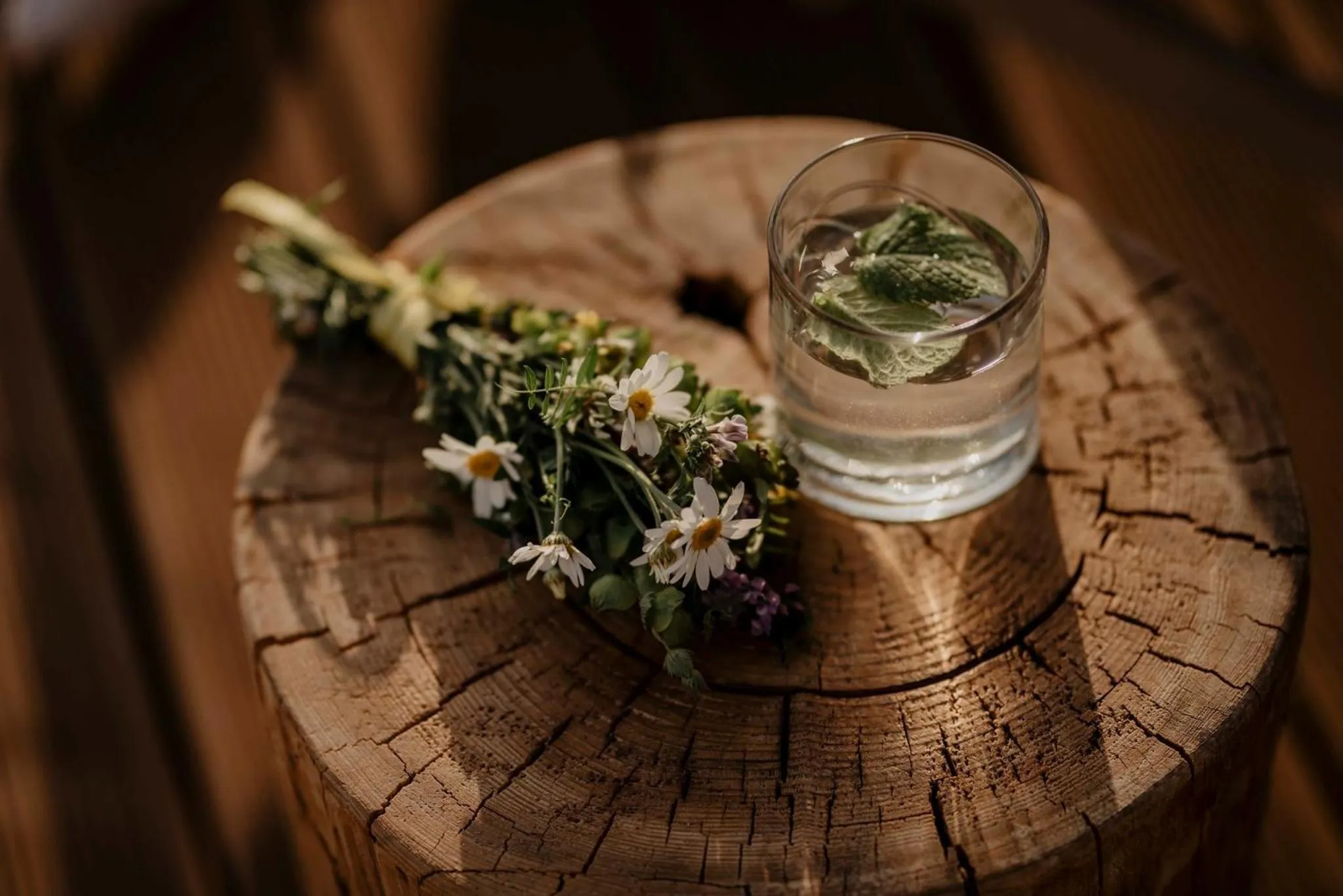 Food and drinks in Domki Pod Wulkanem