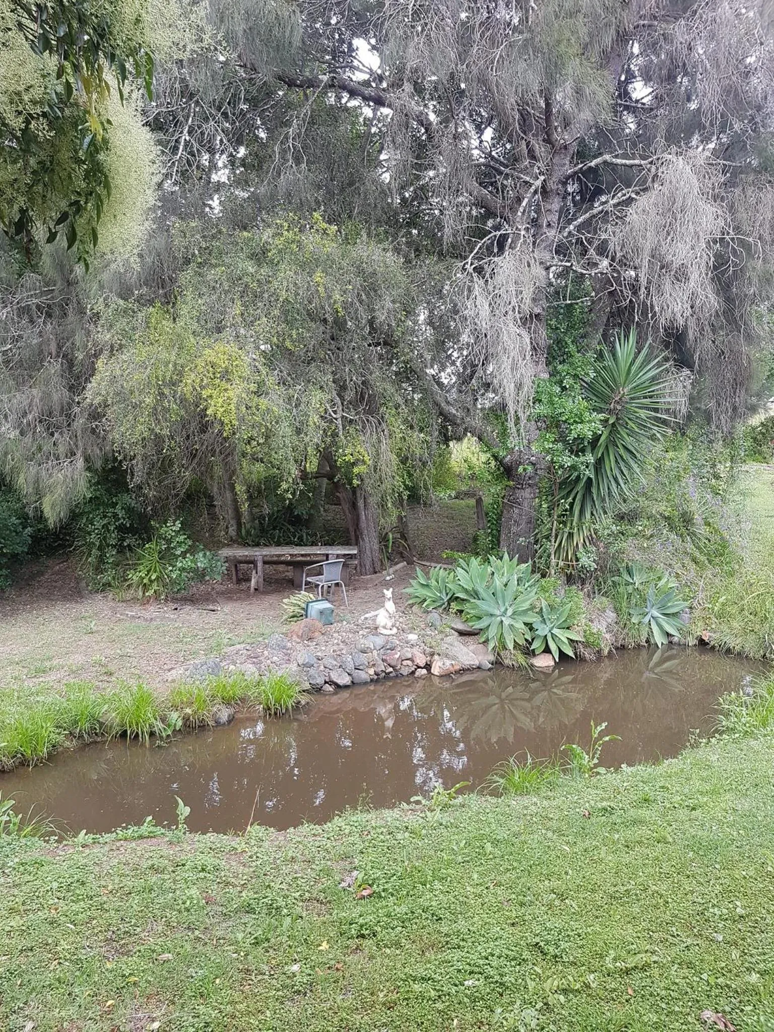 Natural landscape in Murgon Motor Inn