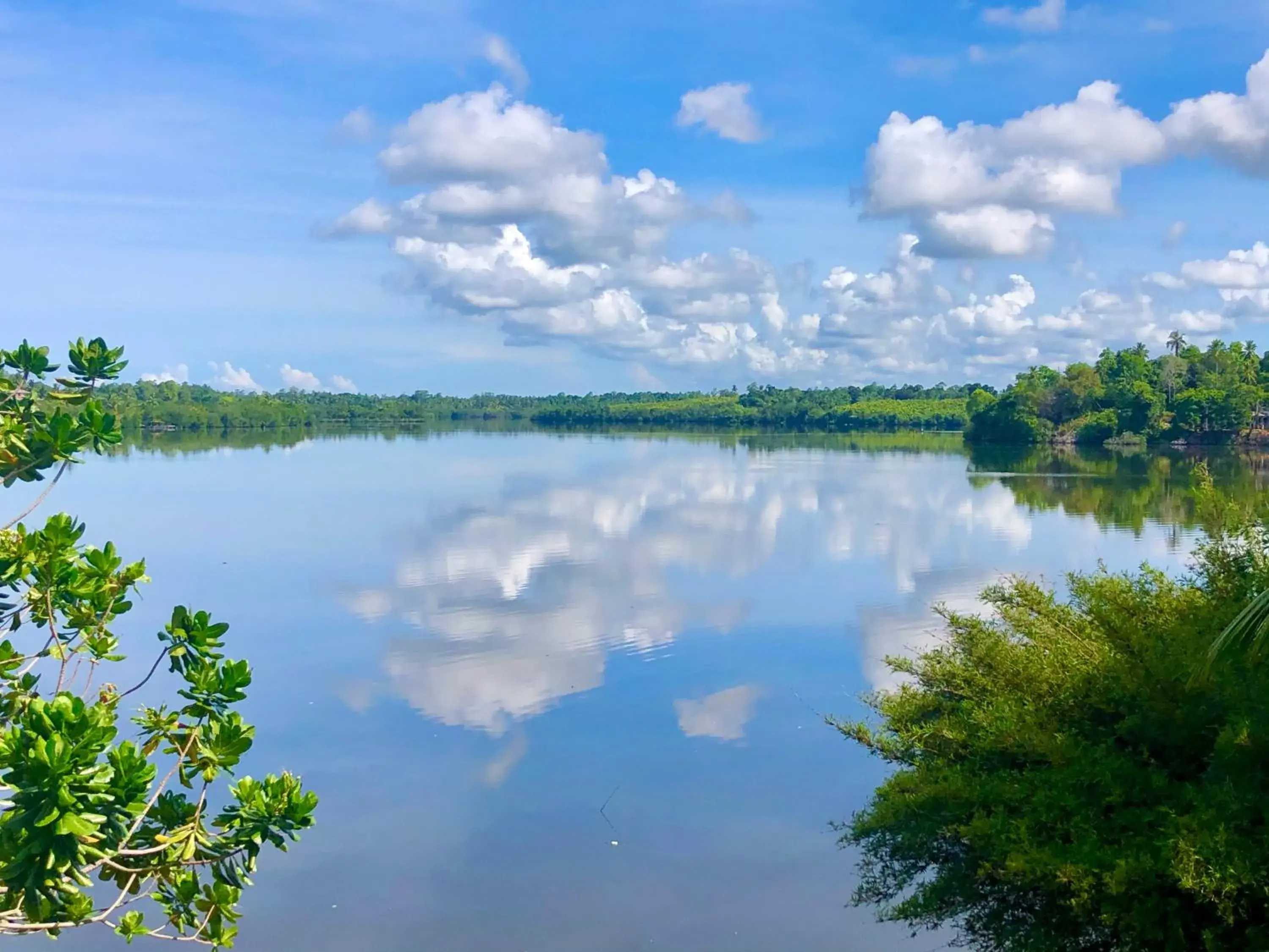 View (from property/room) in Kalla Bongo Lake Resort View (from property/room) in Kalla Bongo Lake Resort