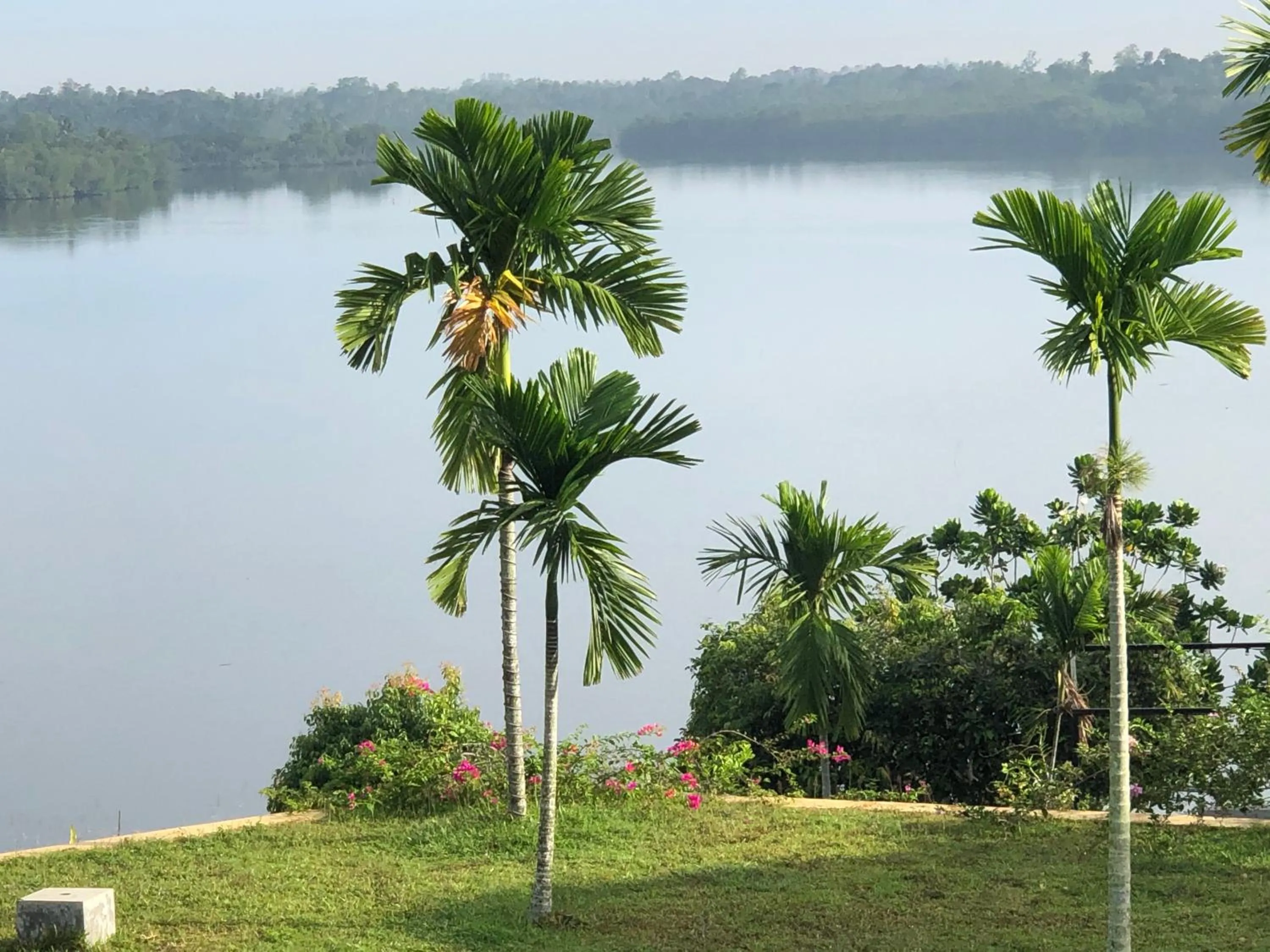View (from property/room) in Kalla Bongo Lake Resort