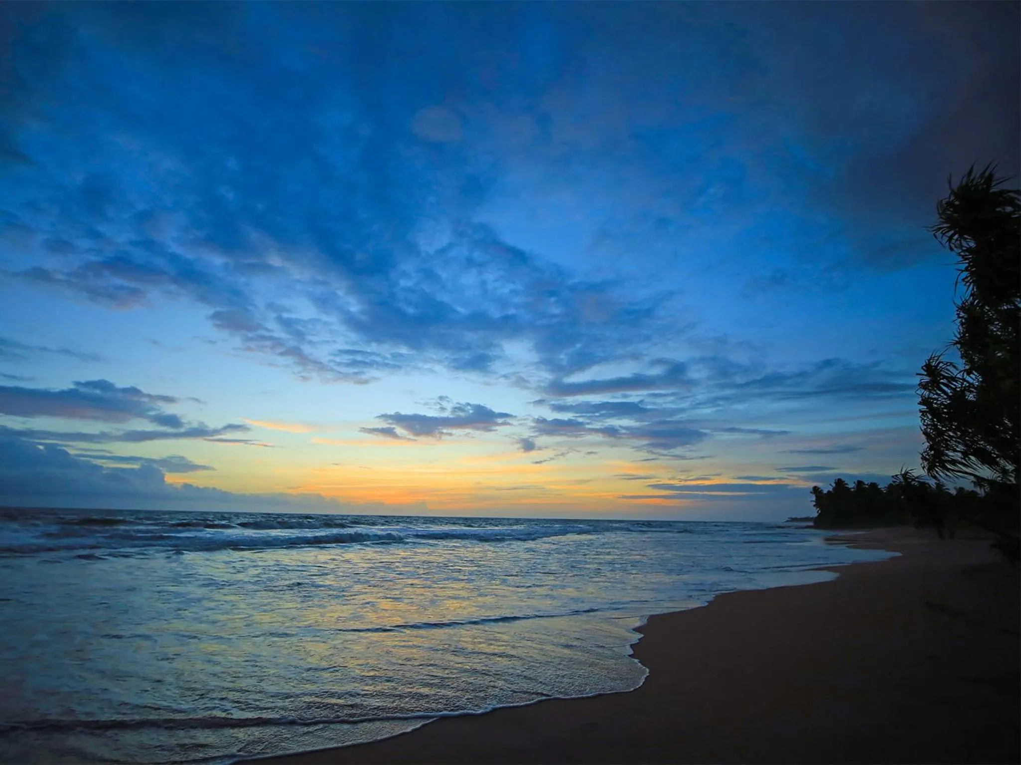Beach in Saffron & Blue