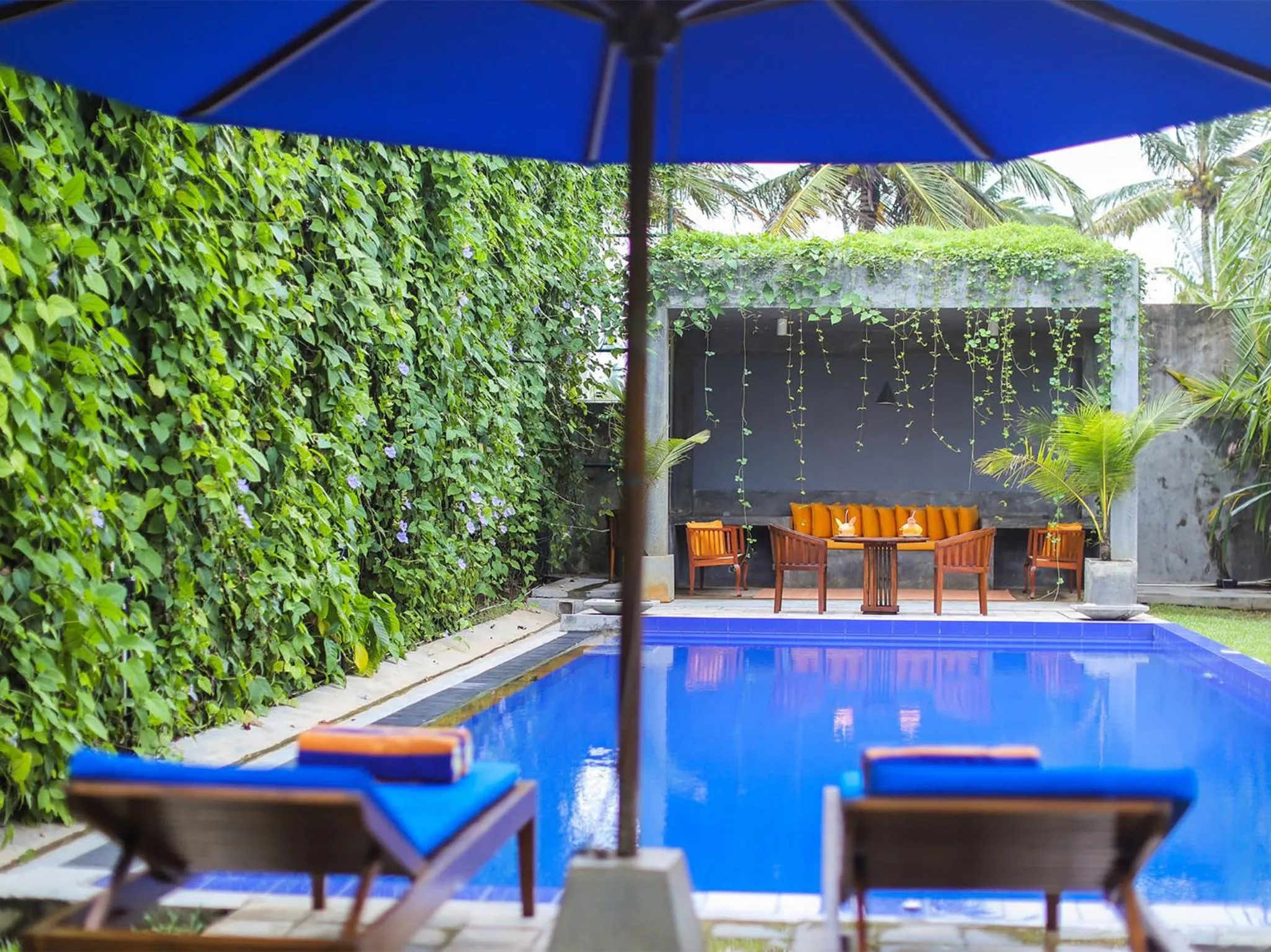 Patio in Saffron & Blue