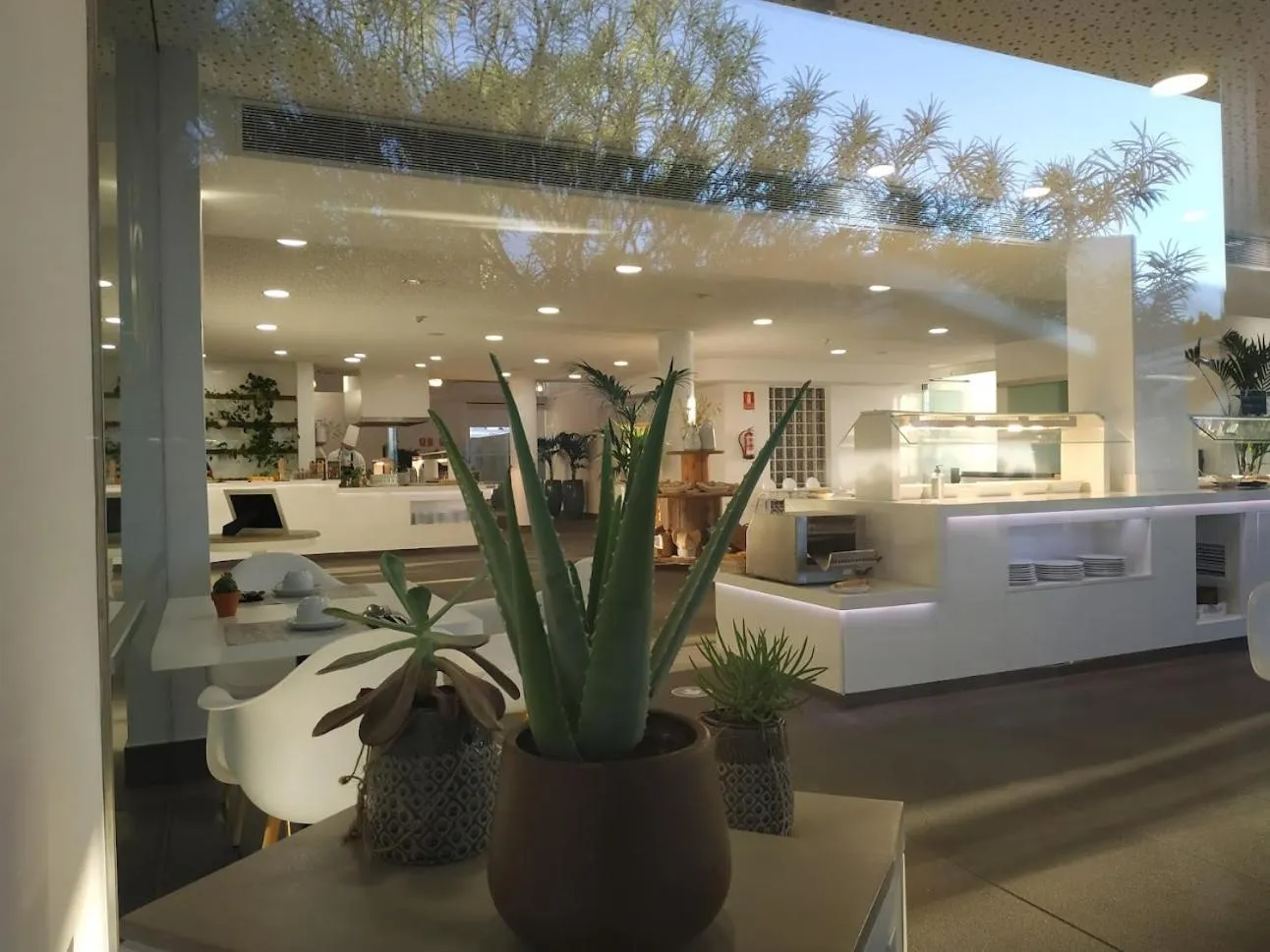 Lounge or bar in Hyde Park Lane Villas