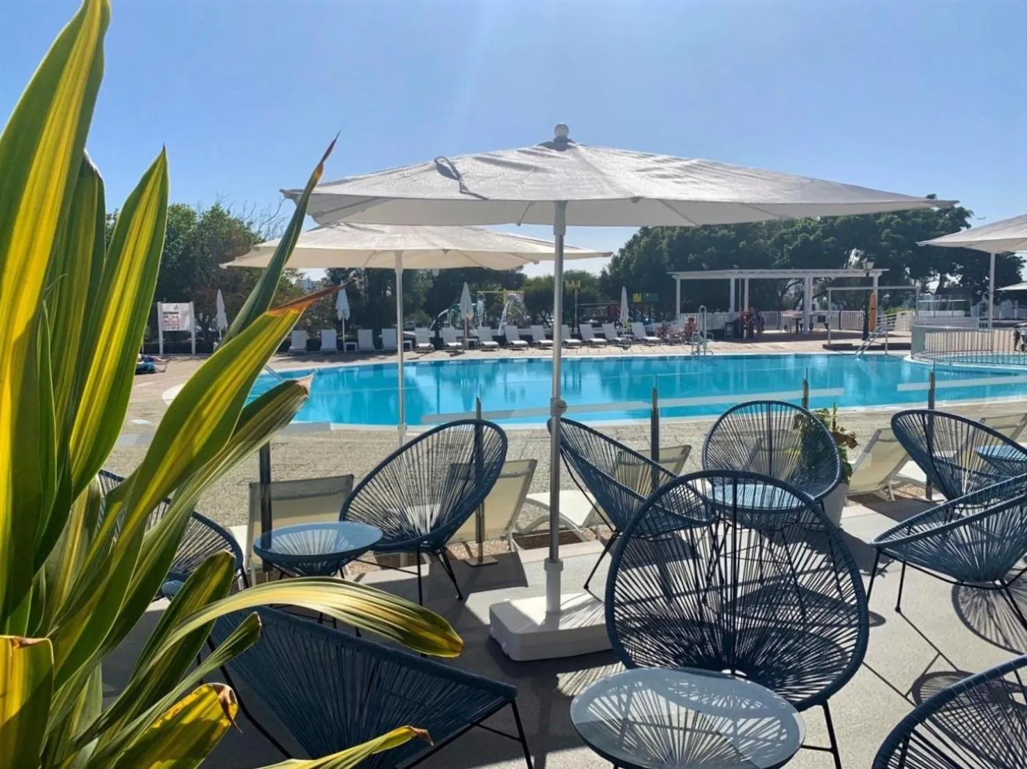 Balcony/Terrace in Hyde Park Lane Villas