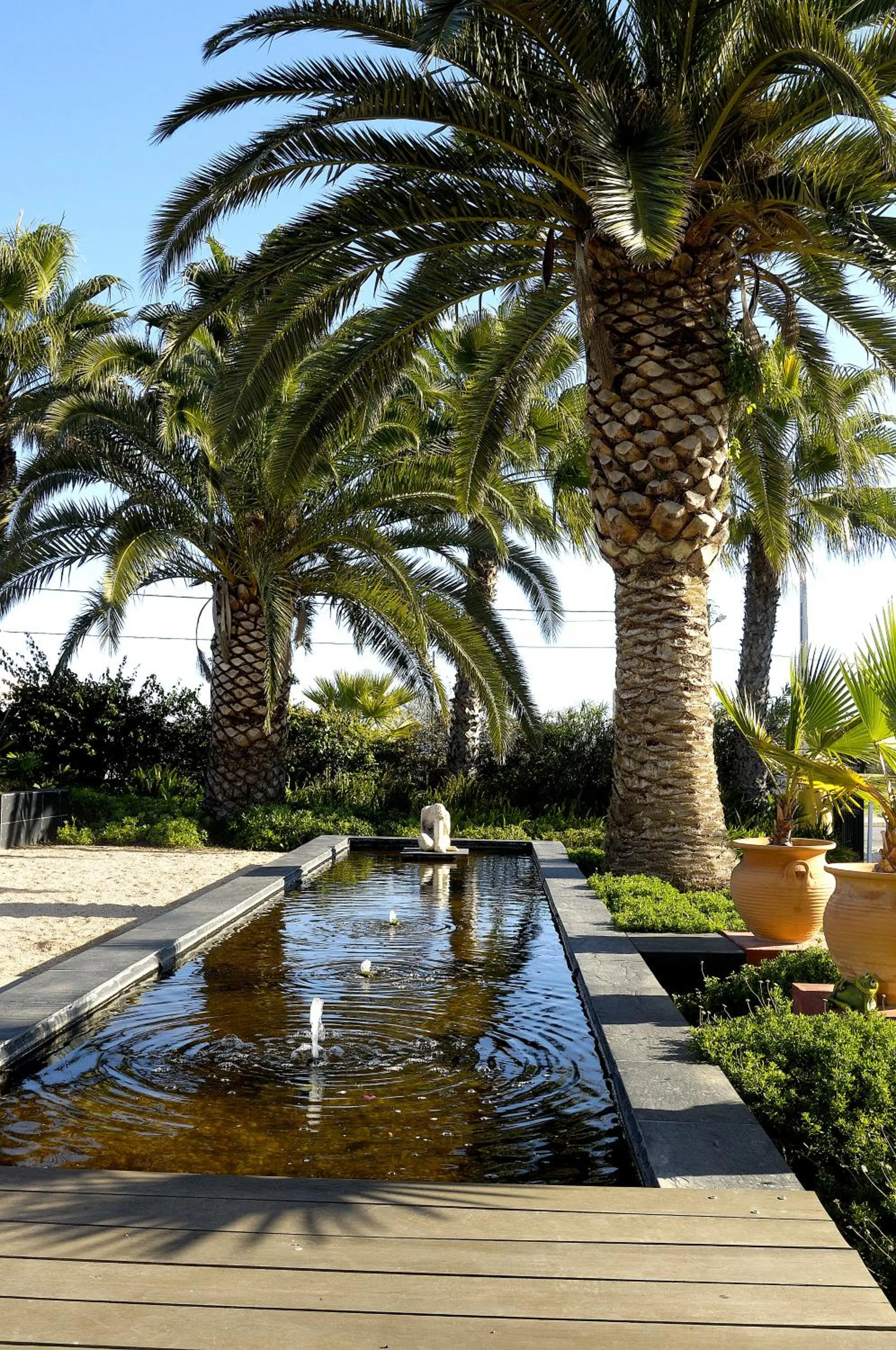 Garden in Casa Bela Moura, Boutique Hotel & Wine