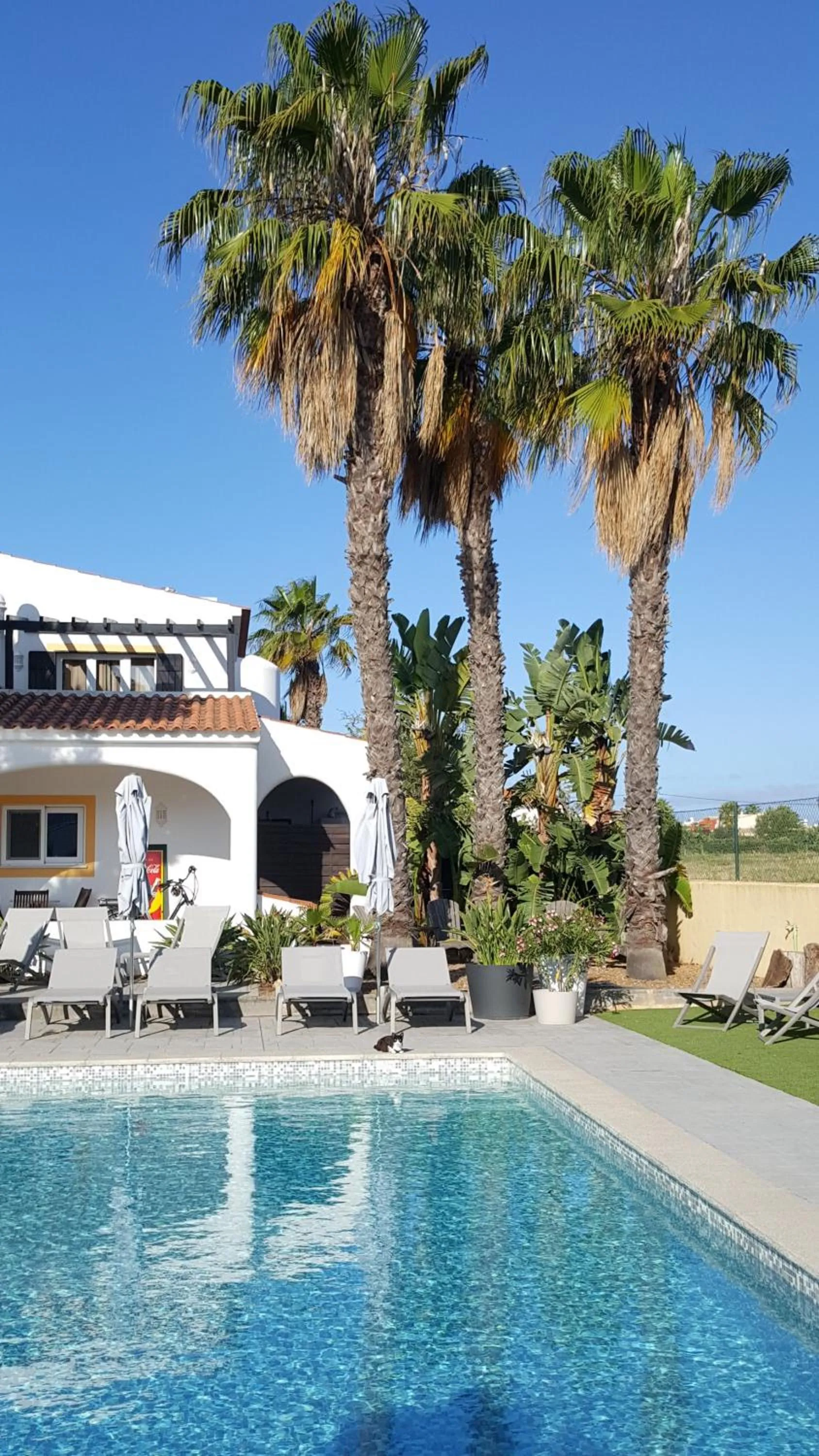 Pool view in Casa Bela Moura, Boutique Hotel & Wine