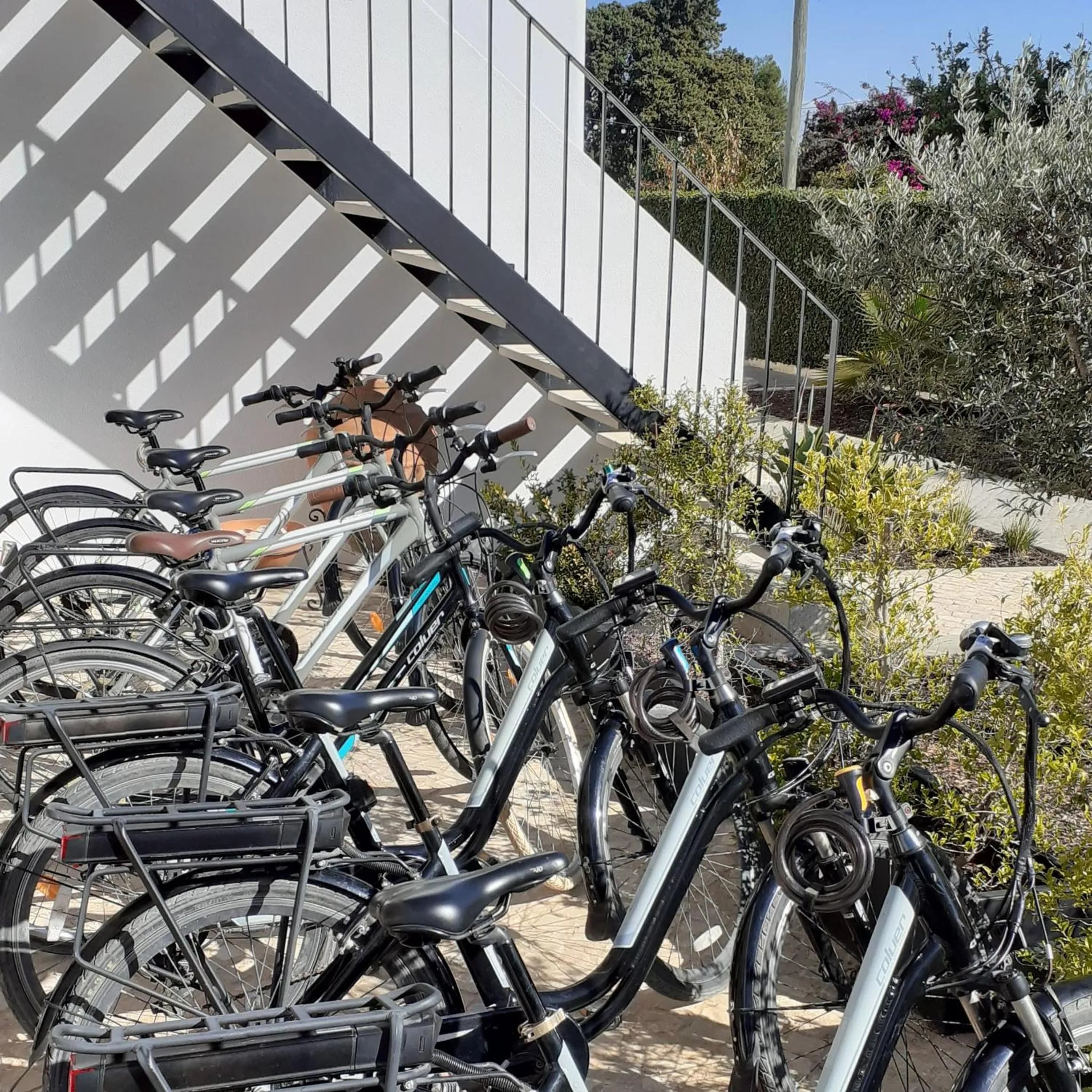 Activities in Casa Bela Moura, Boutique Hotel & Wine