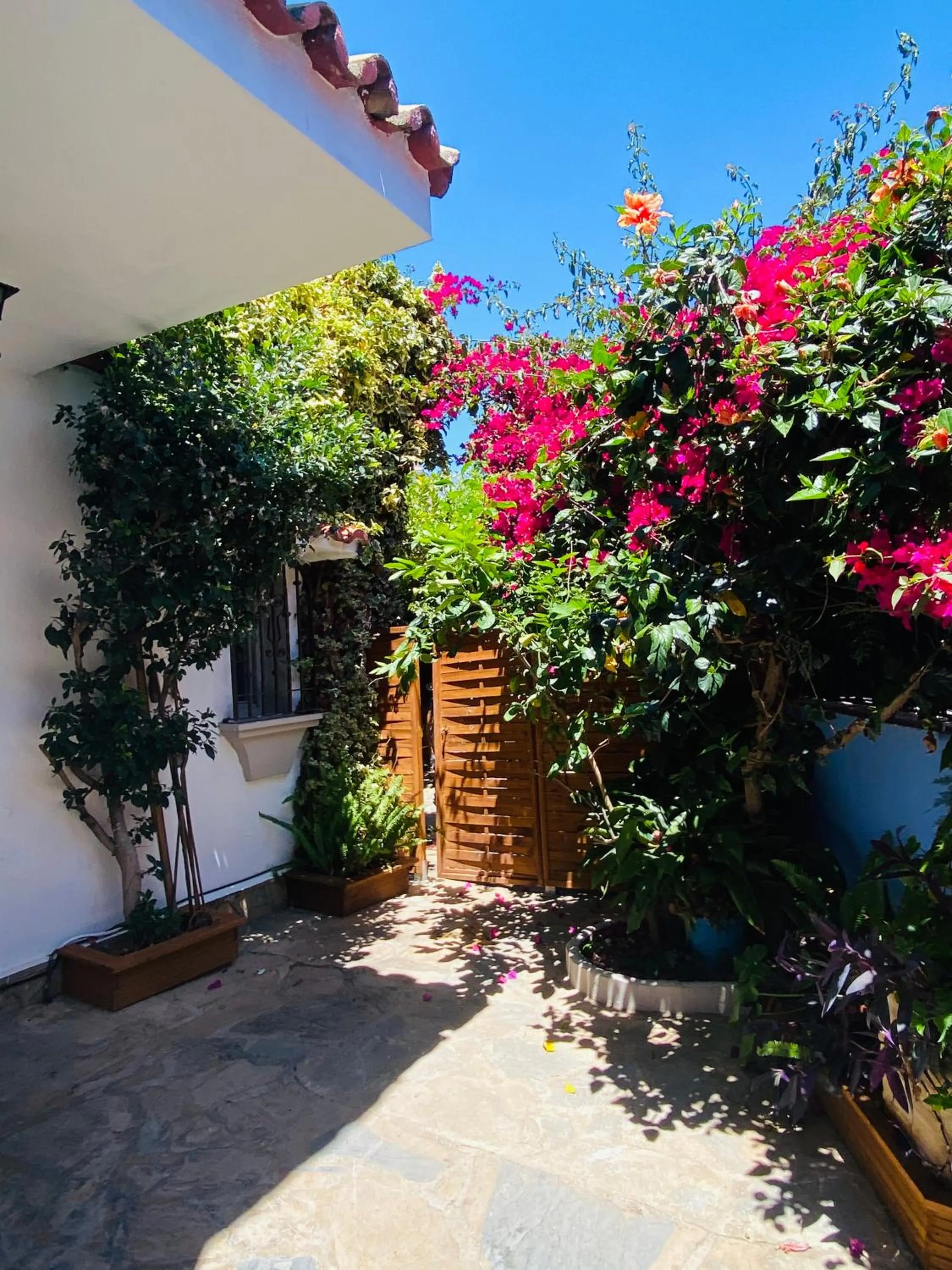 Patio in Villa Palma