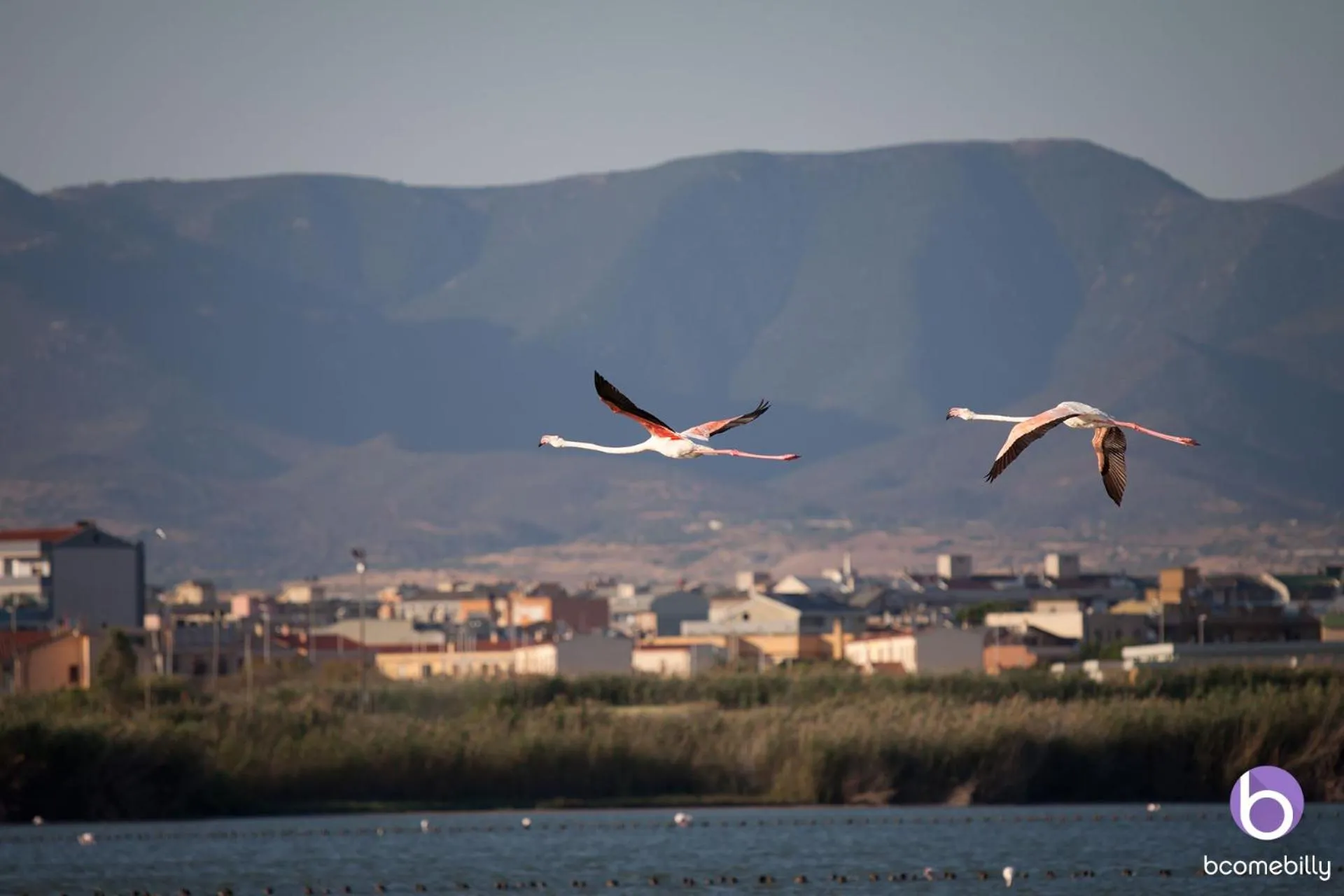 Natural landscape in Guesthouse Libeticus