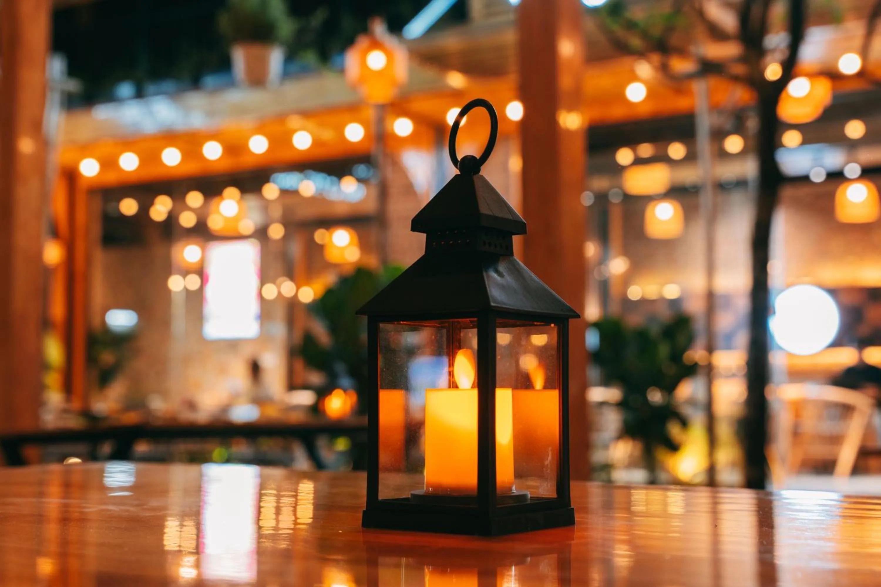 Garden in Tam Coc Lavender Homestay -Authentic Ninh Binh Experiences