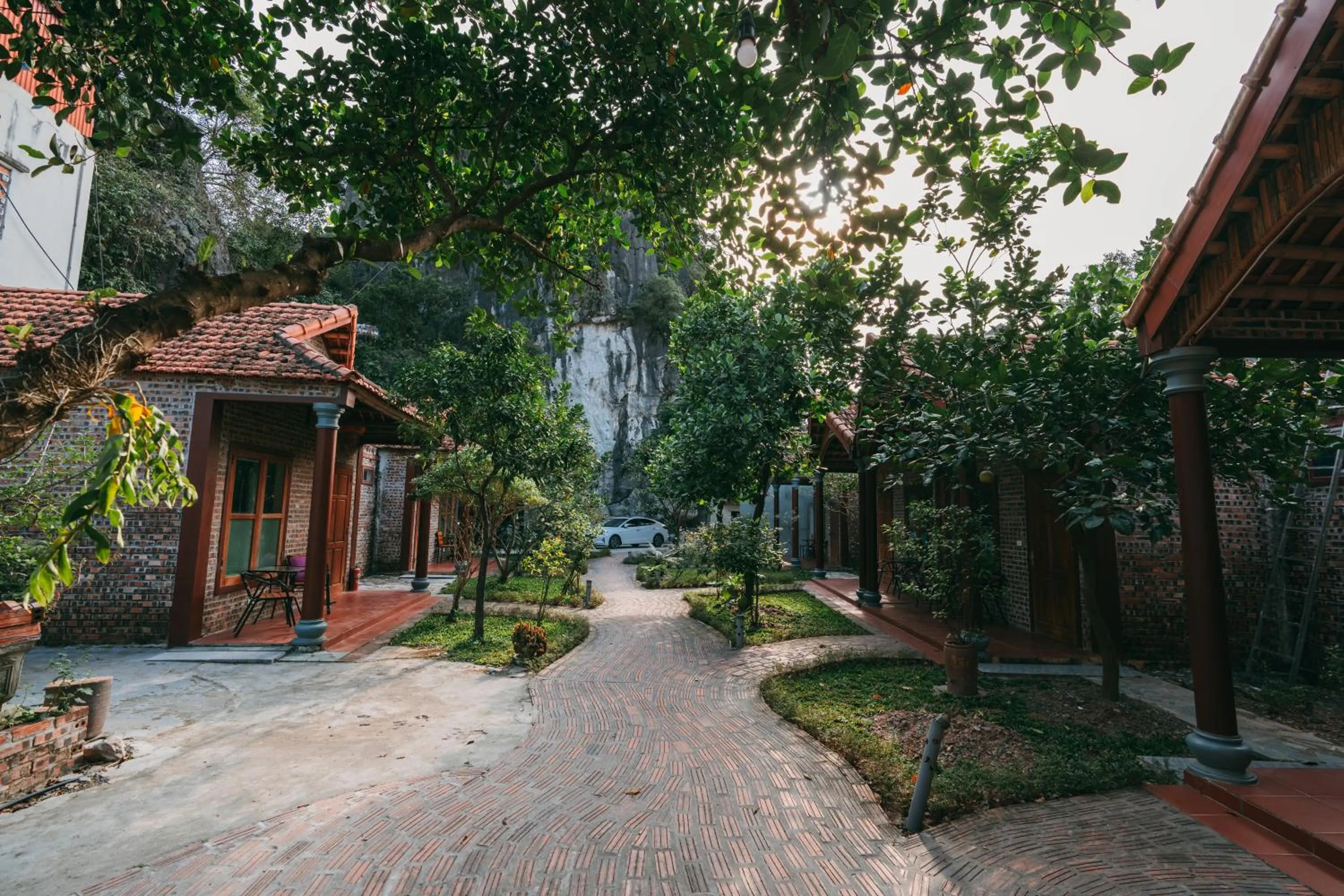 Garden in Tam Coc Lavender Homestay -Authentic Ninh Binh Experiences
