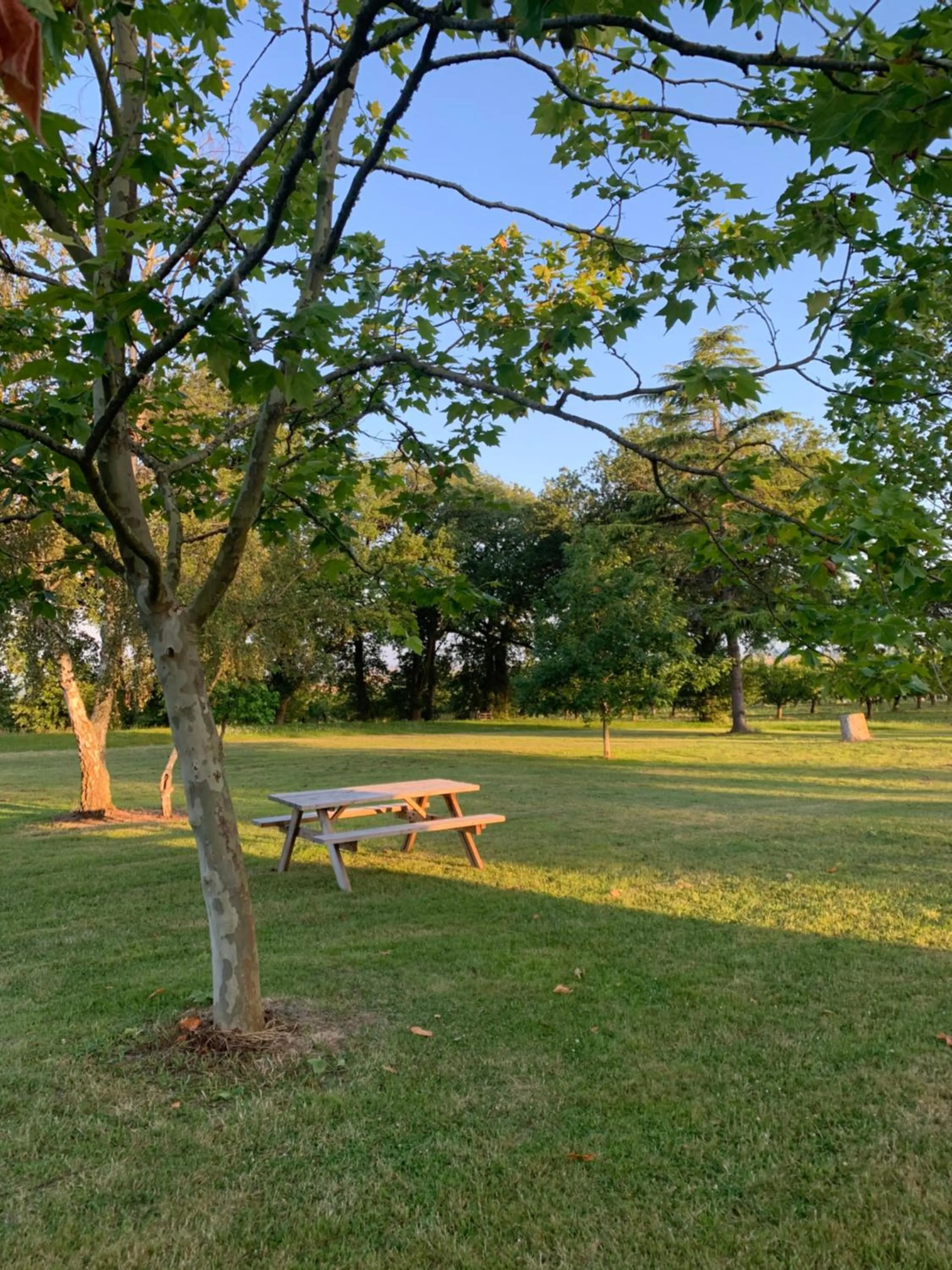 Patio in Gîte de Beausoleil