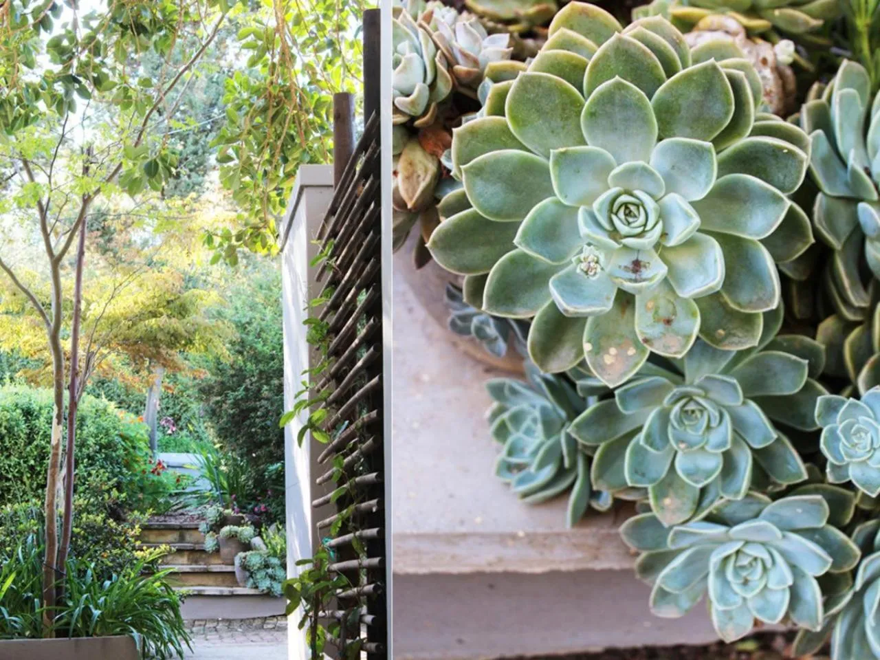 Garden in Arumvale Country Retreat