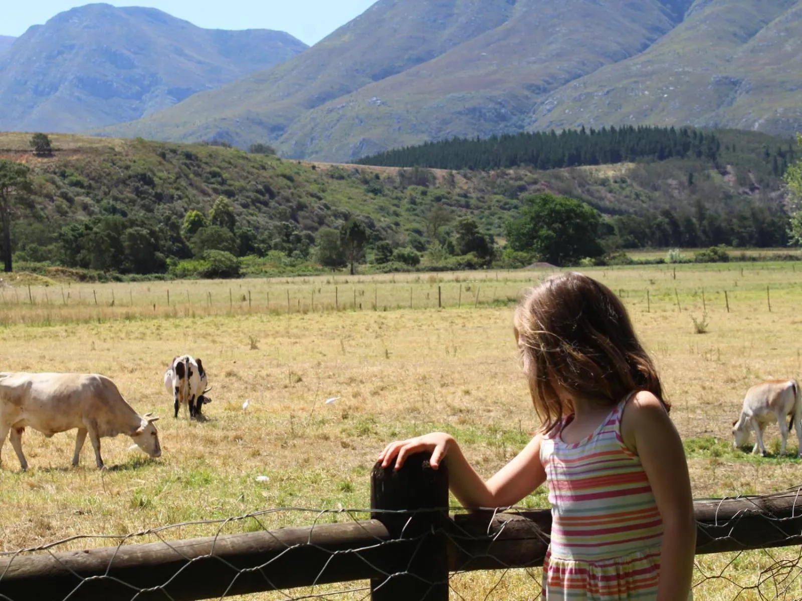 Natural landscape in Arumvale Country Retreat