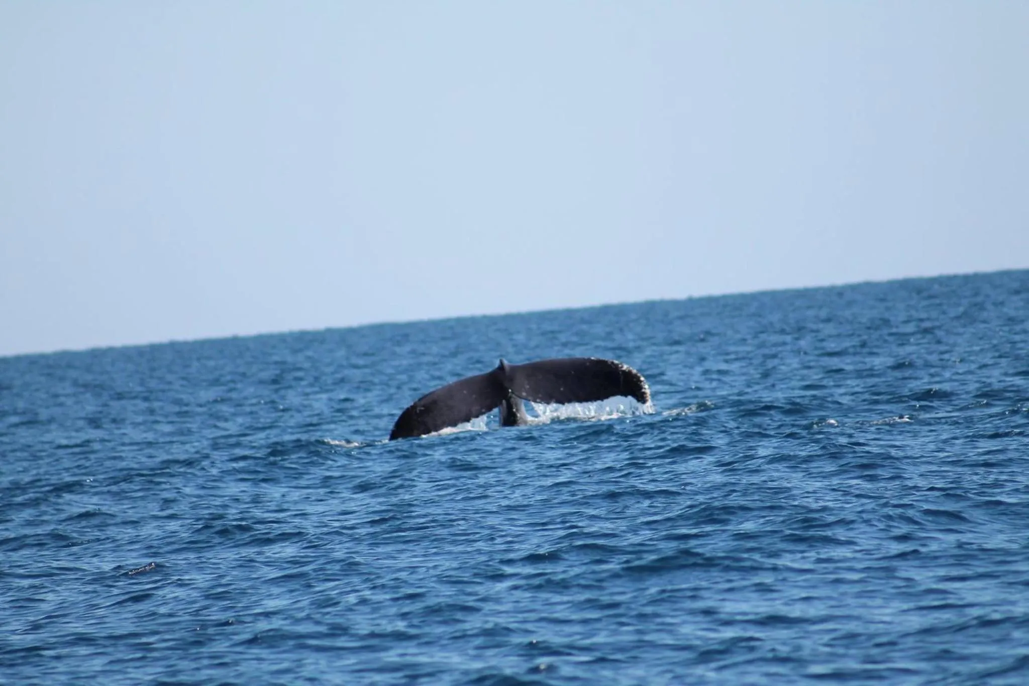 Beach in The Cove Holiday Village