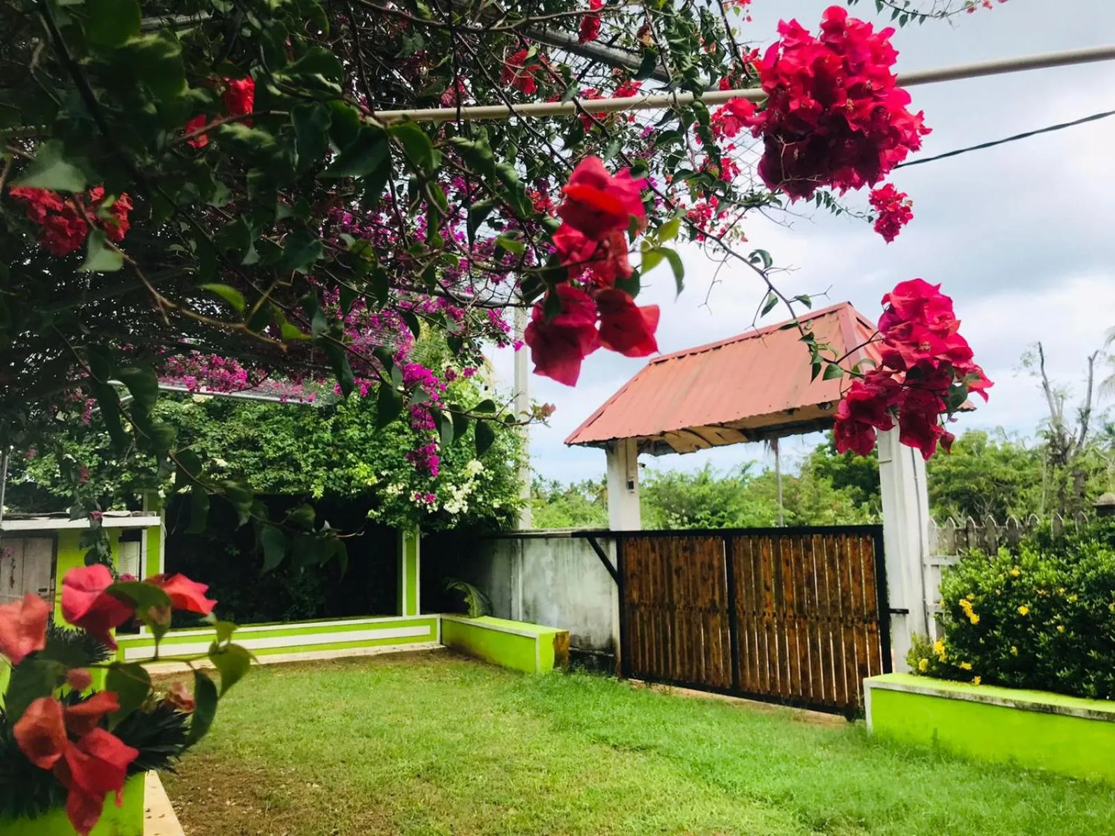 Spring in ITALIAN GUEST