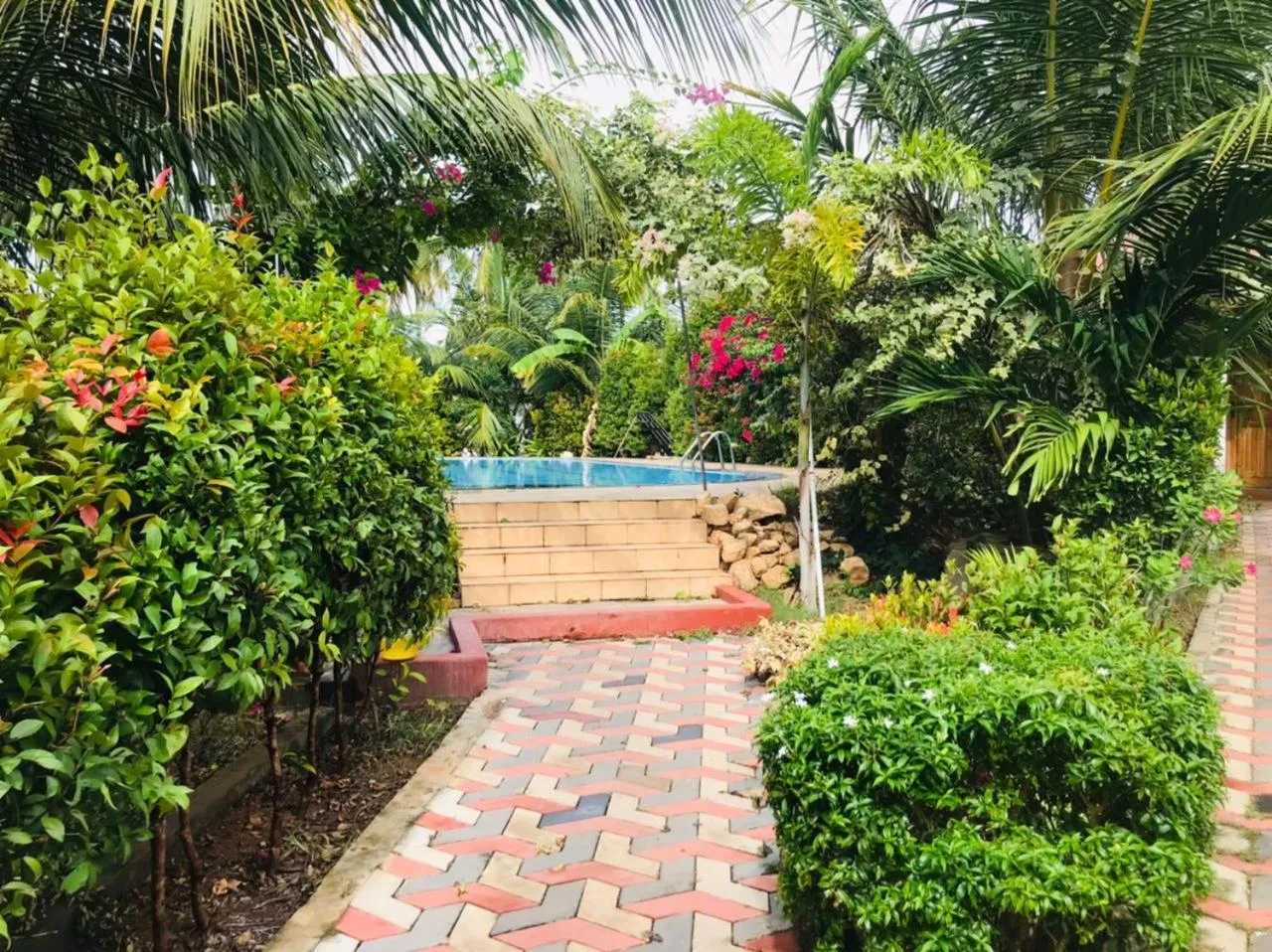 Spring in ITALIAN GUEST