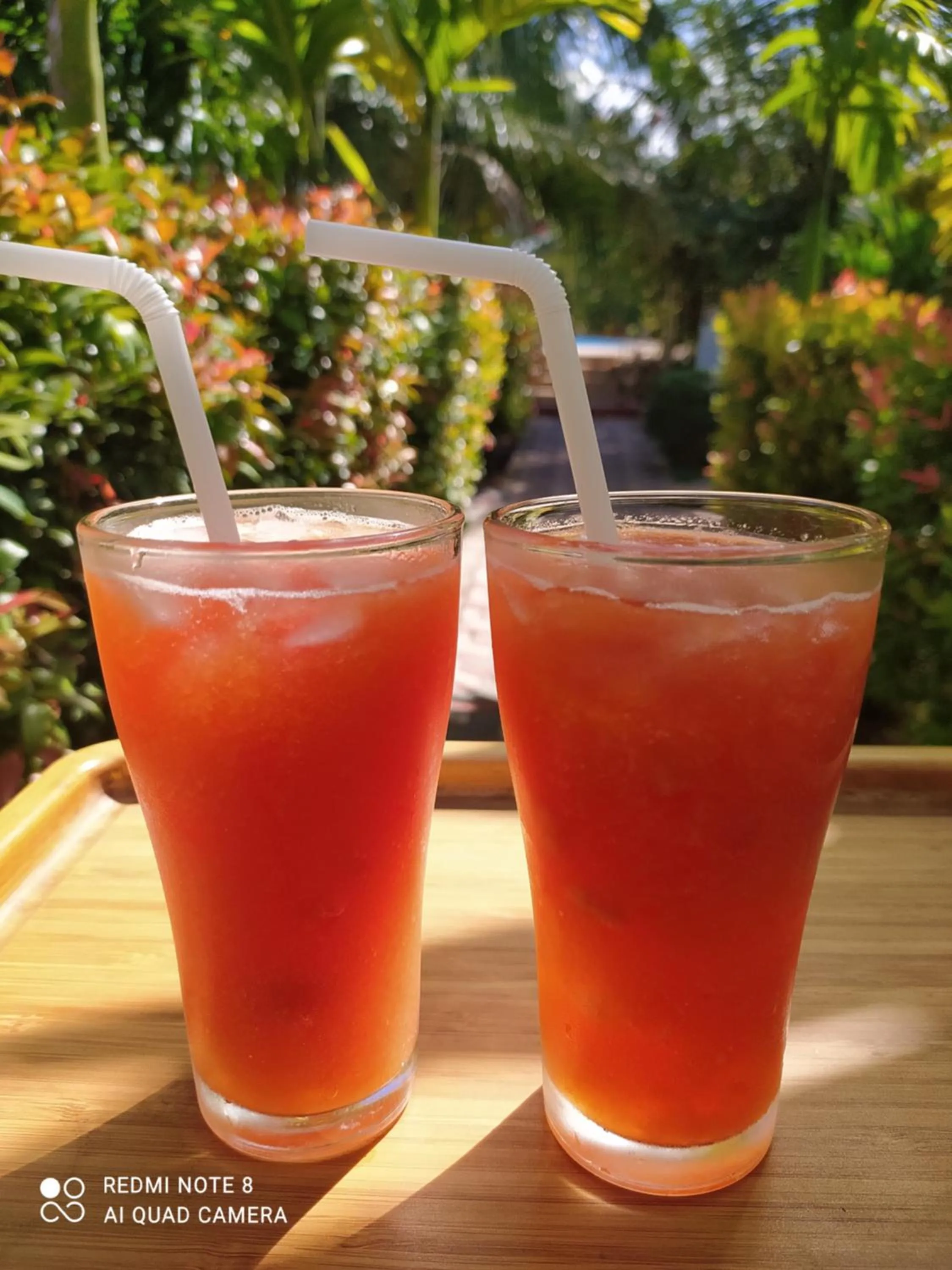 Summer in ITALIAN GUEST