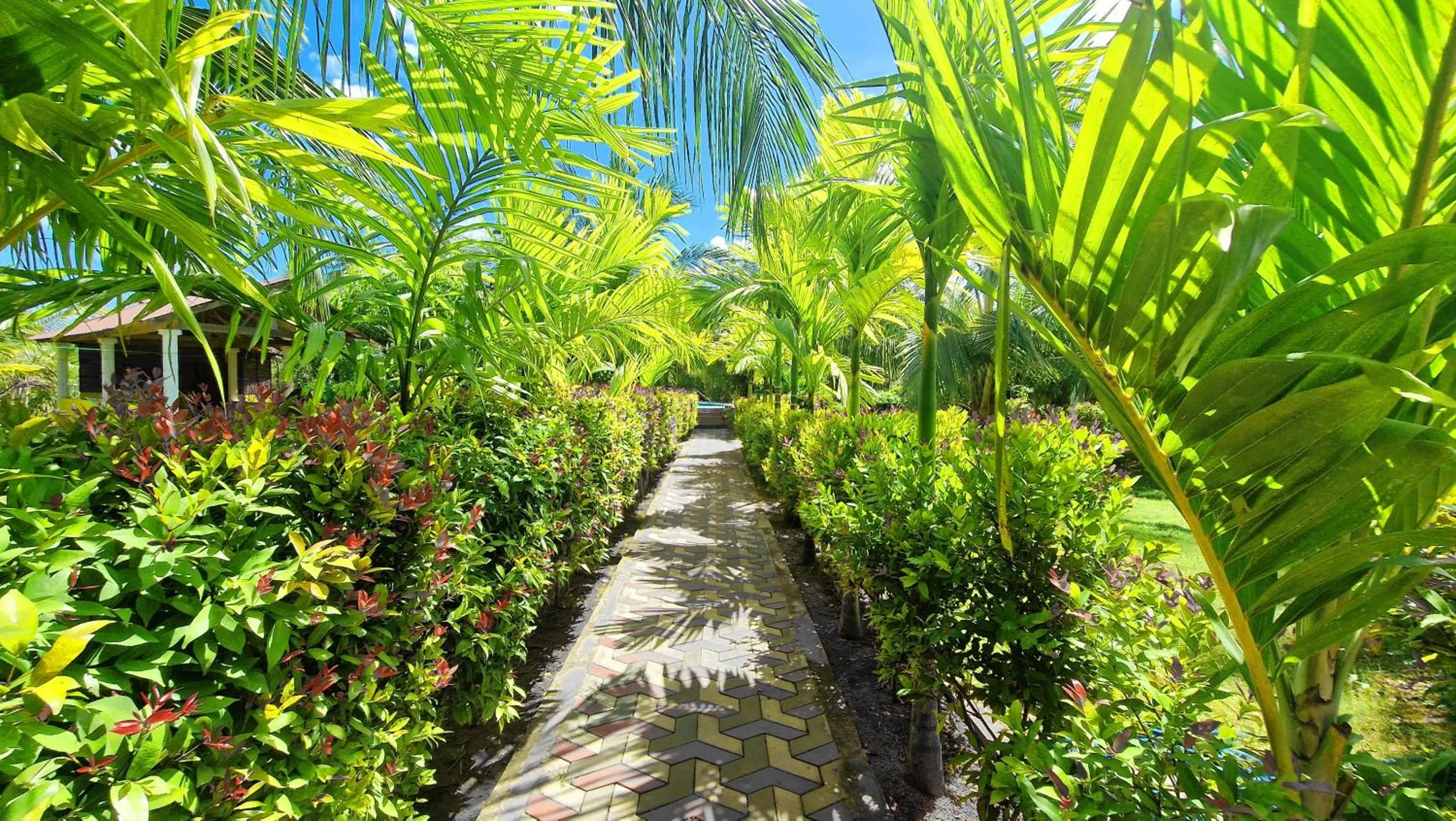 Spring in ITALIAN GUEST