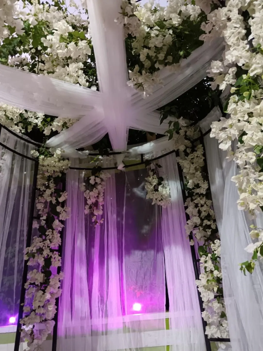 Spring in ITALIAN GUEST