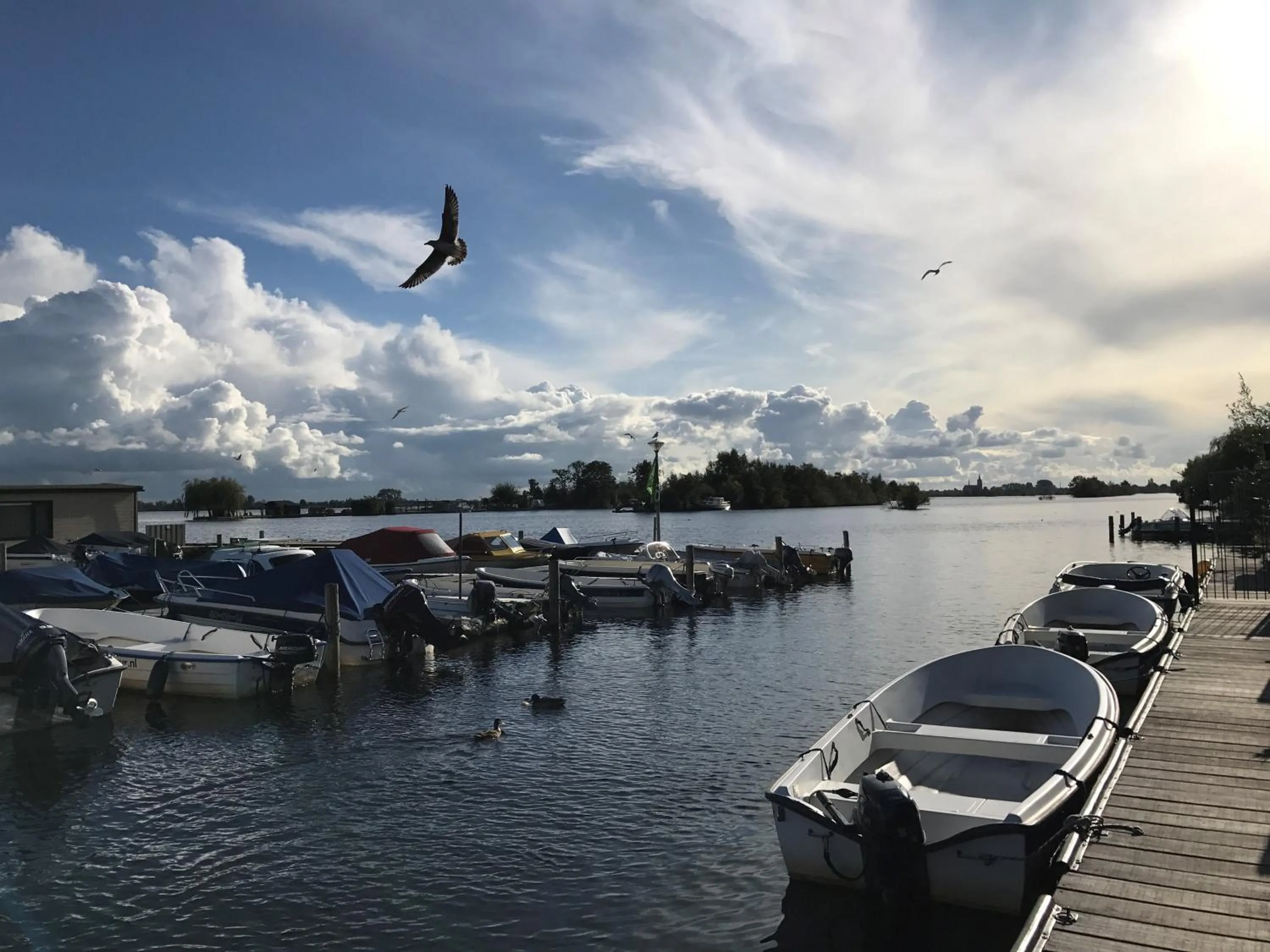 View (from property/room) in VISSERSLUST Rooms, Apartments and Houseboats