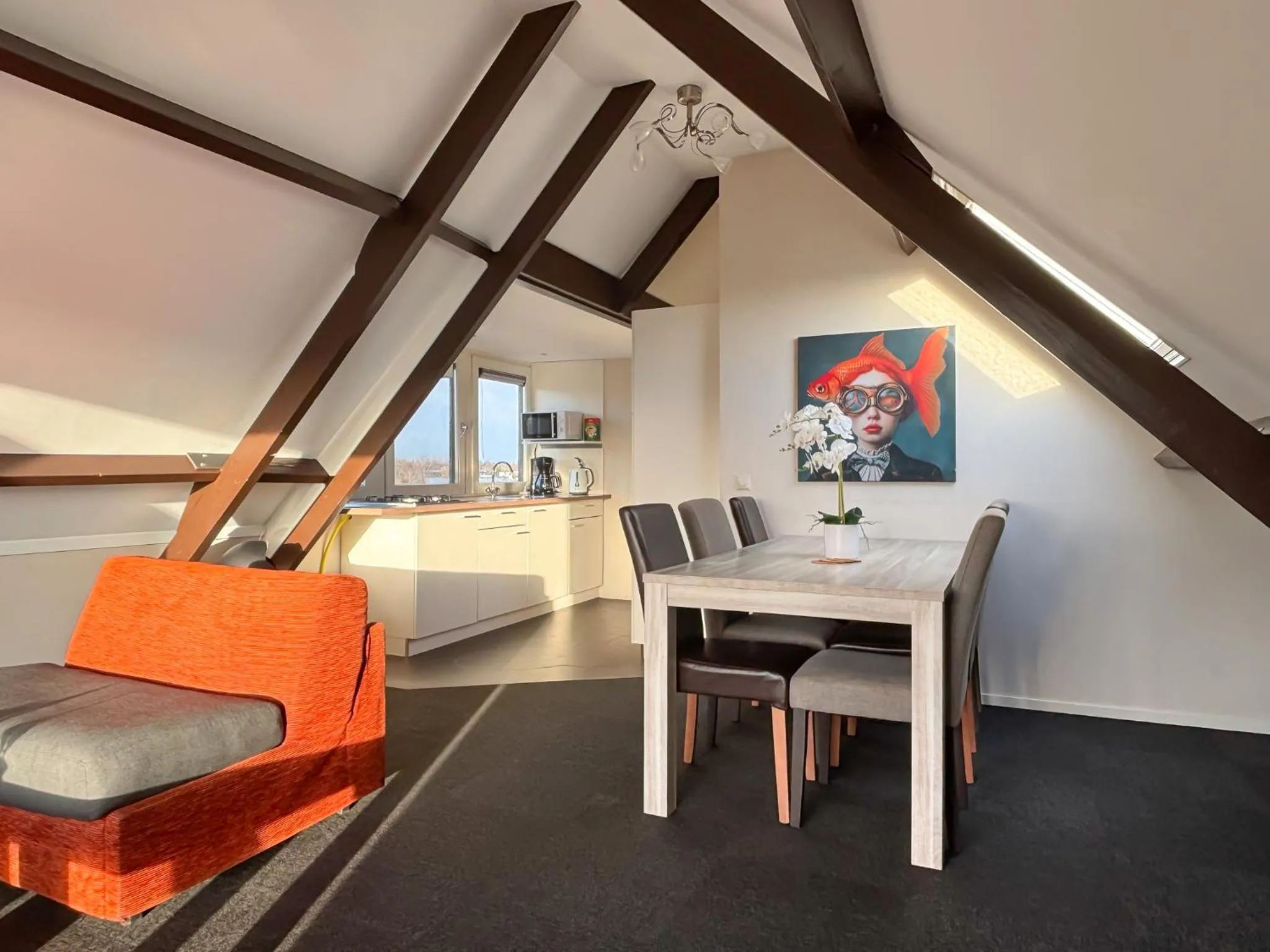 TV and multimedia in VISSERSLUST Rooms, Apartments and Houseboats