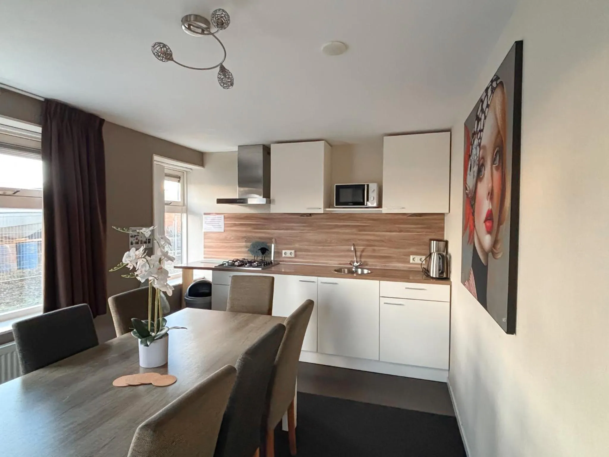 Kitchen or kitchenette in VISSERSLUST Rooms, Apartments and Houseboats