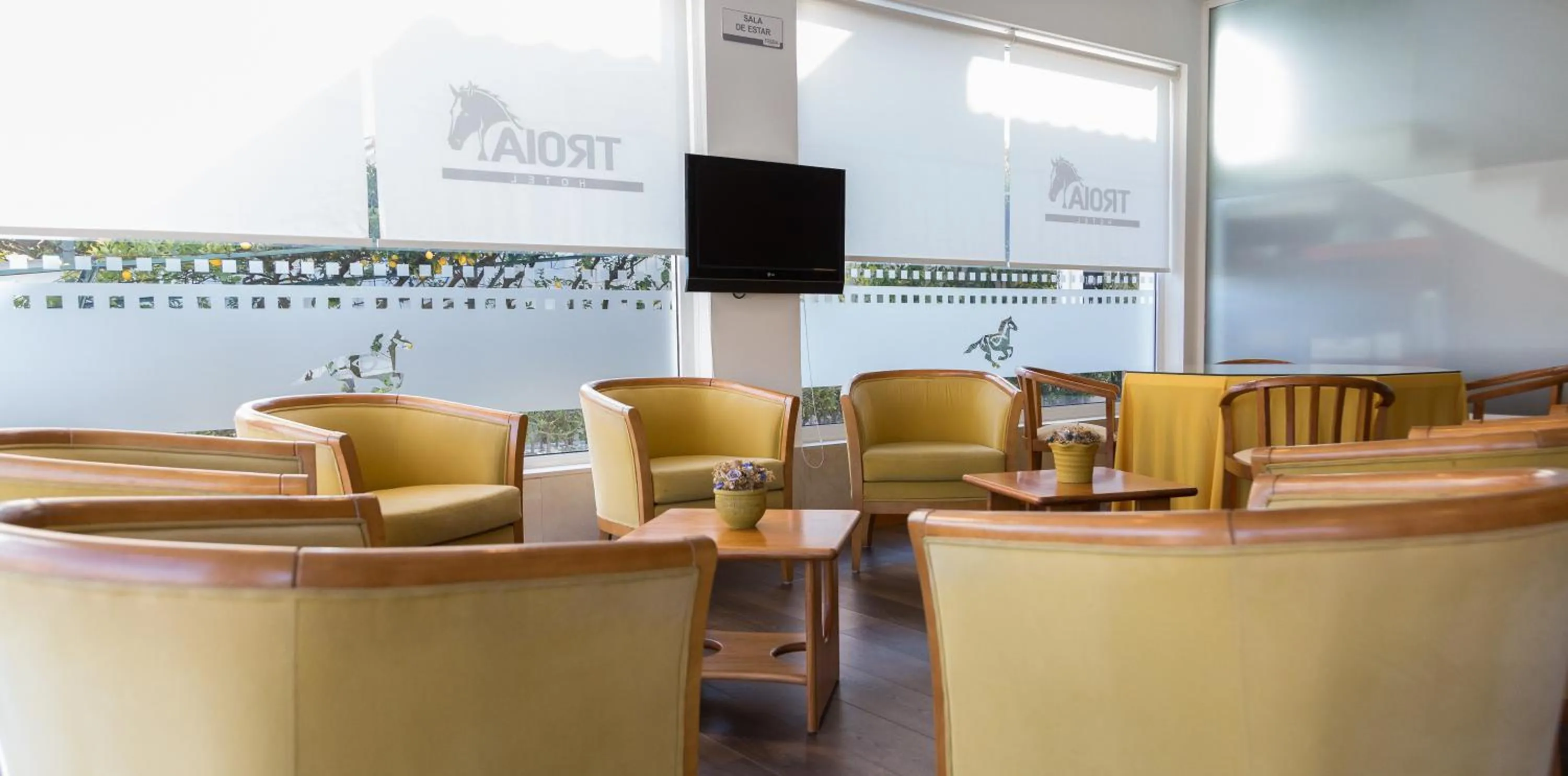 Communal lounge/ TV room in Troia Hotel