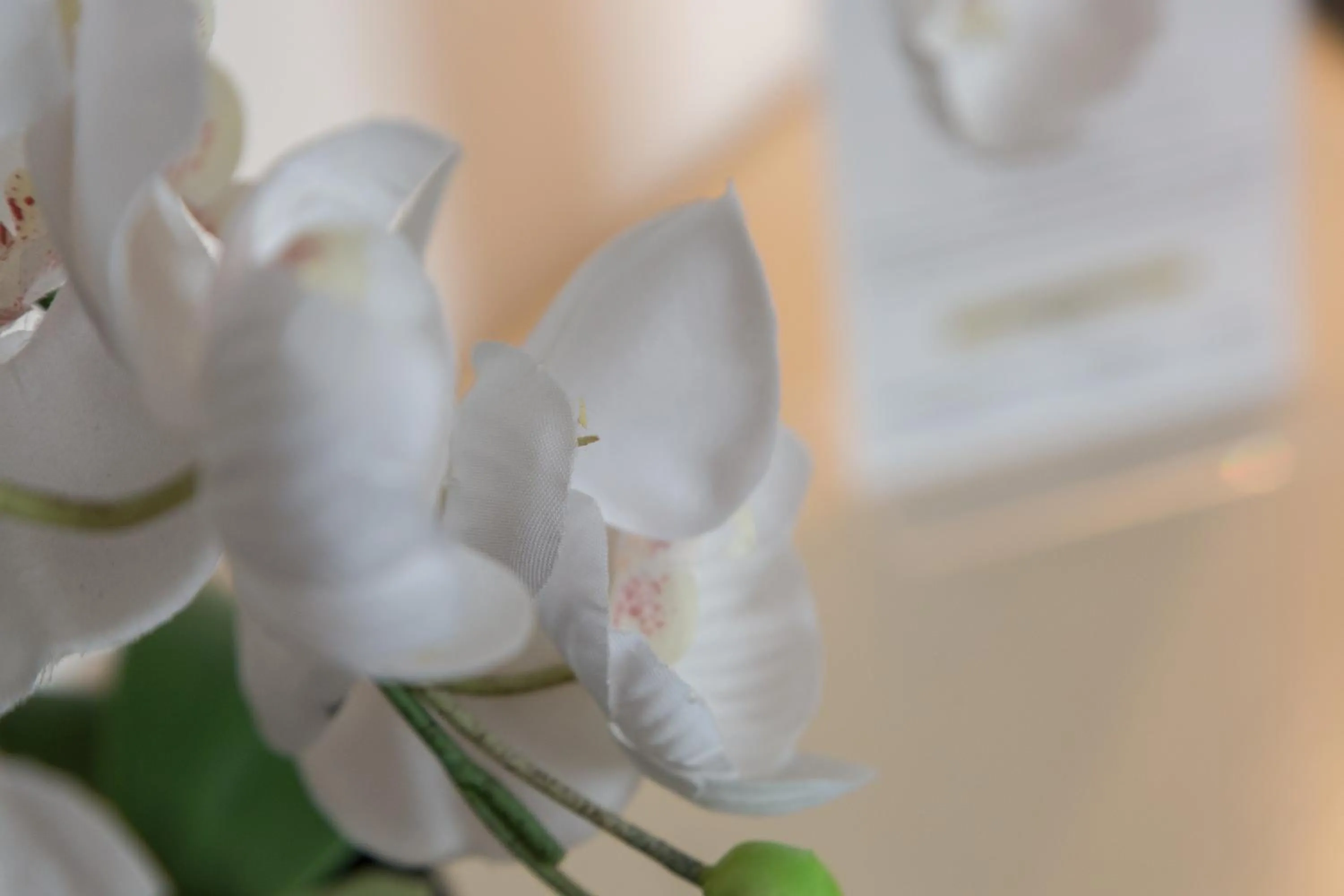 Decorative detail in Troia Hotel