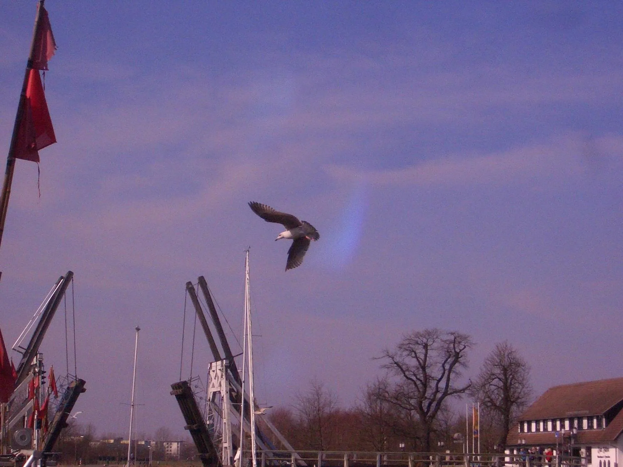 Area and facilities in Hotel zur Brücke
