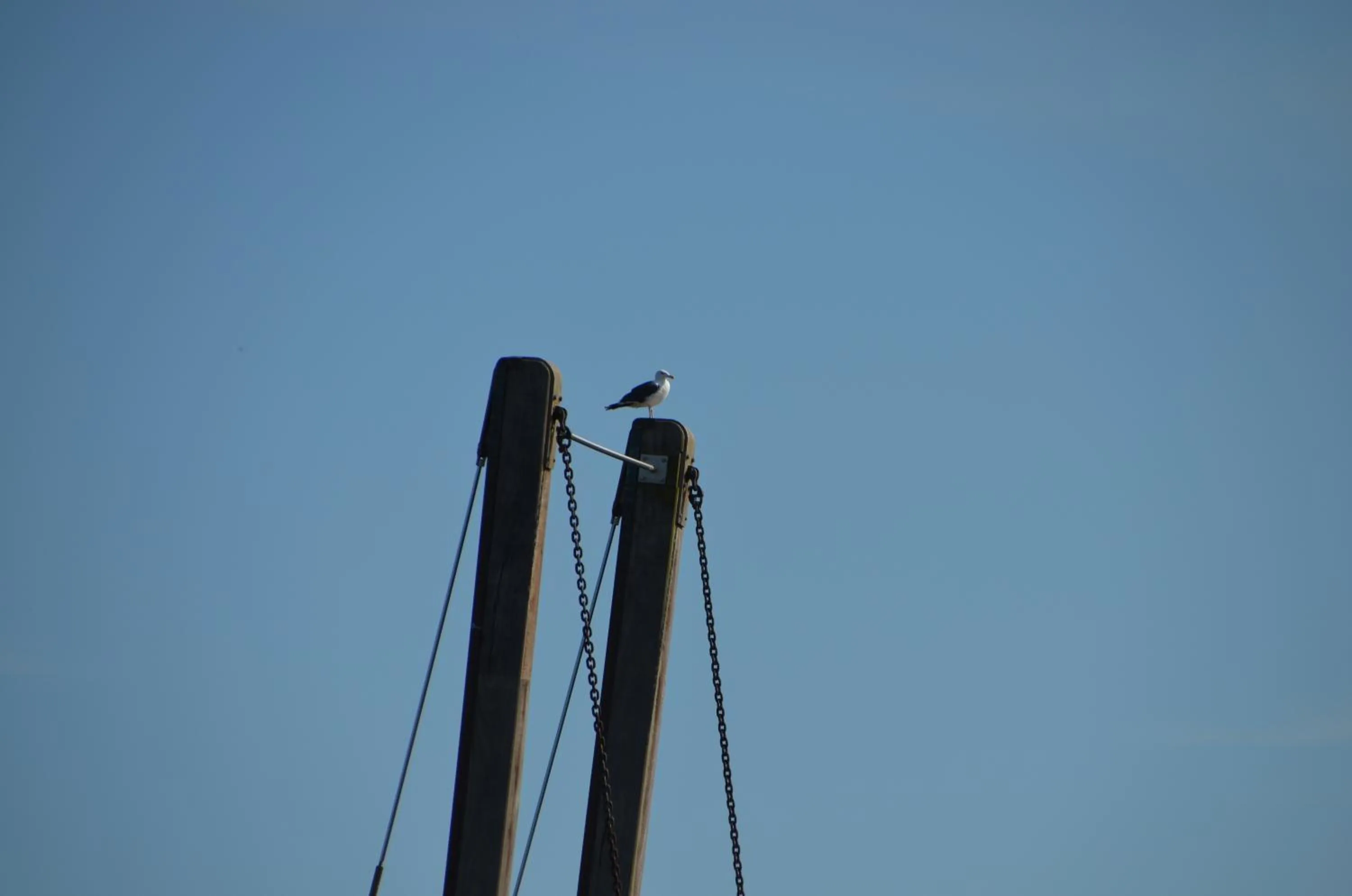 Other in Hotel zur Brücke