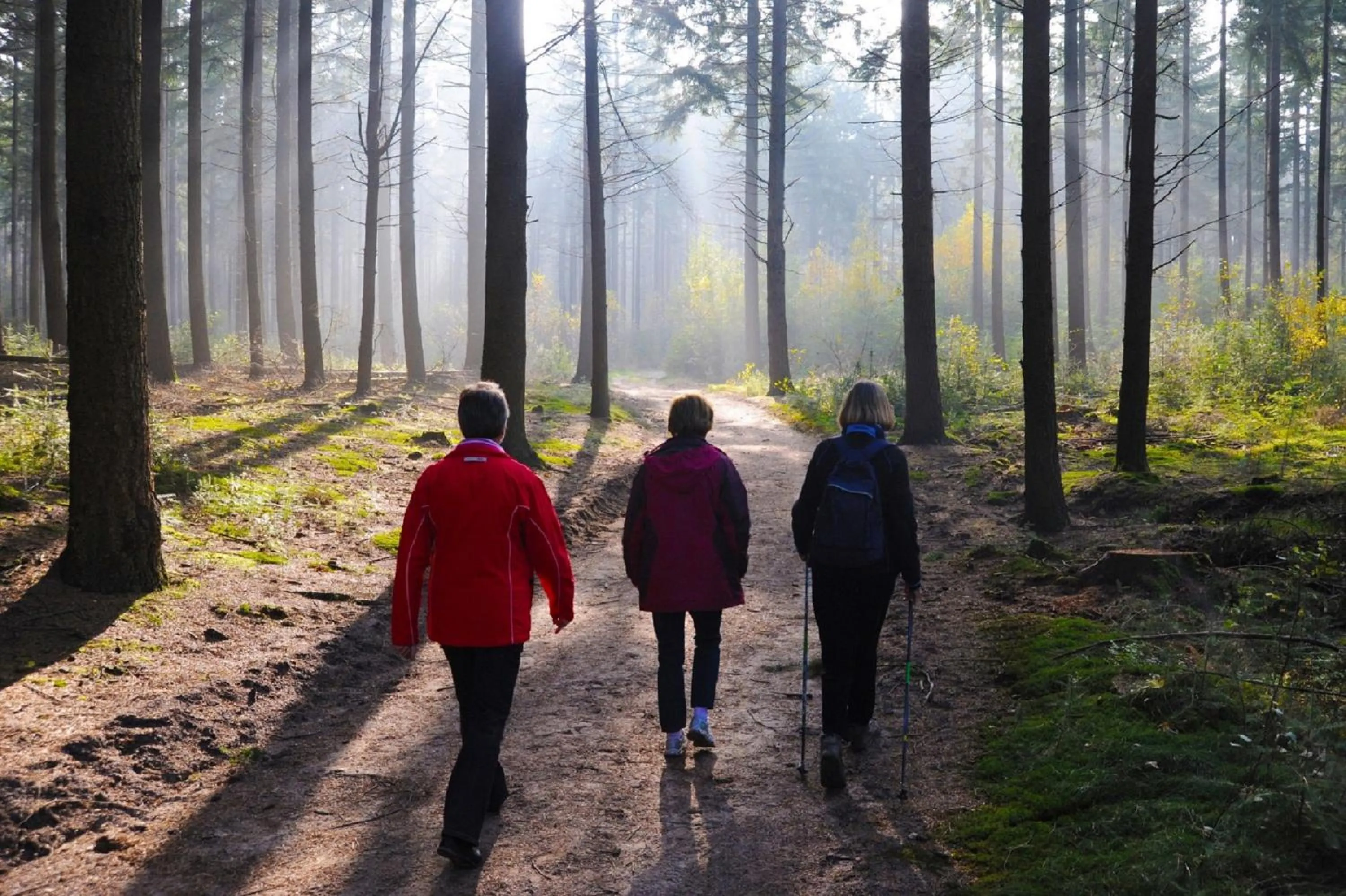 Hiking in Boshotel Overberg