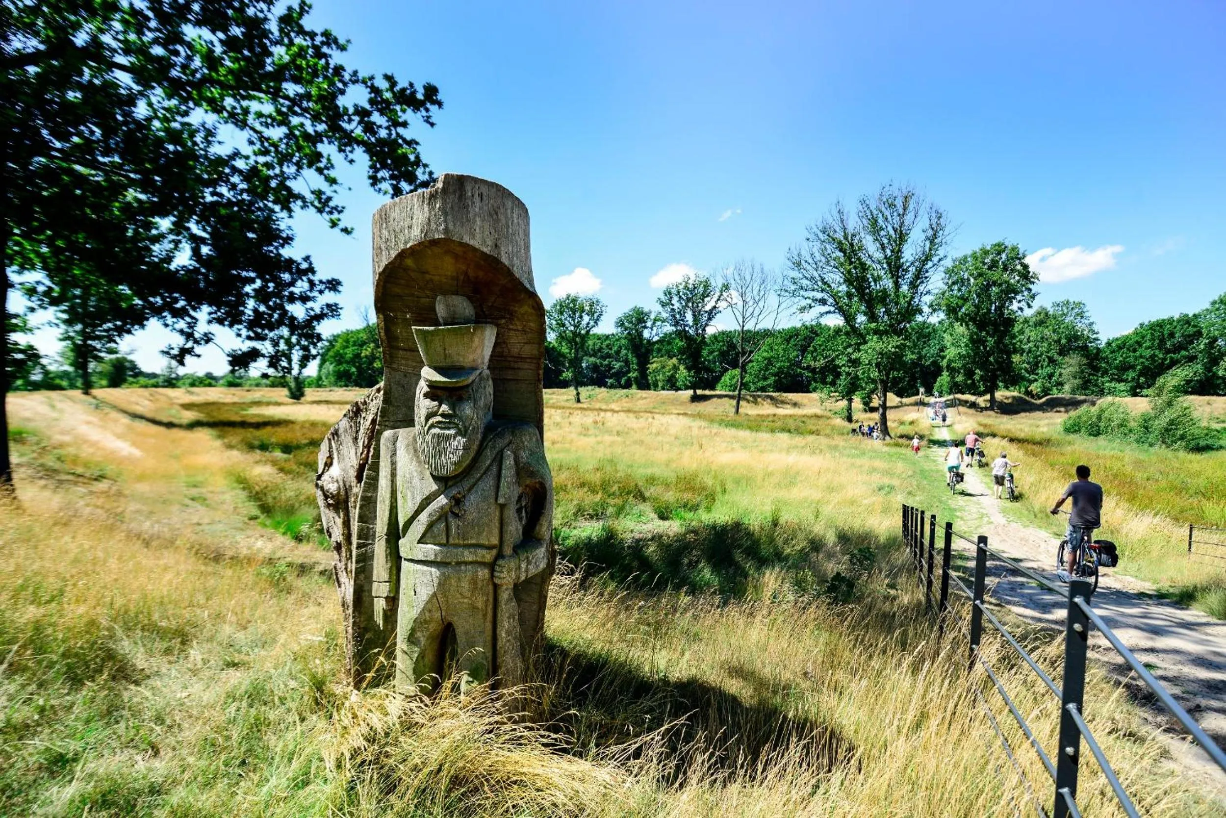 Natural landscape in Boshotel Overberg