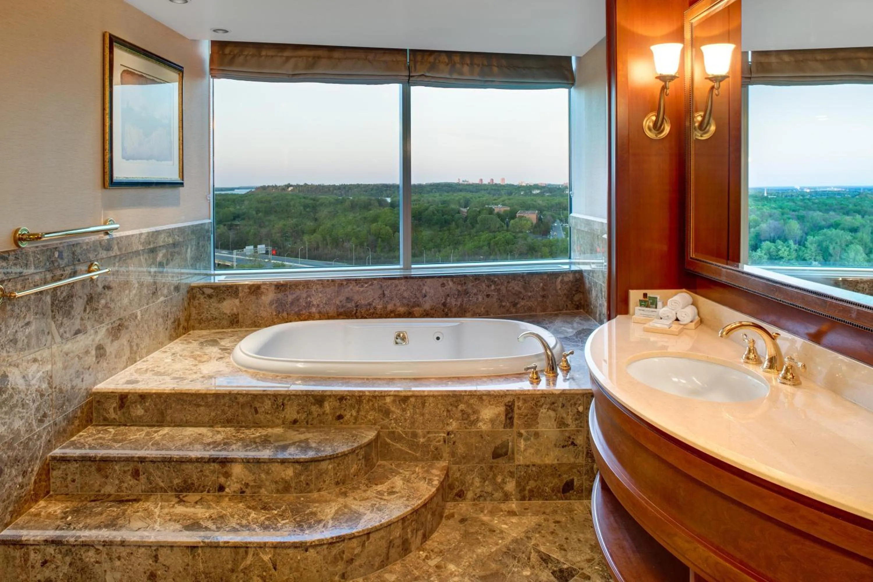 Bathroom in Hilton Lac-Leamy