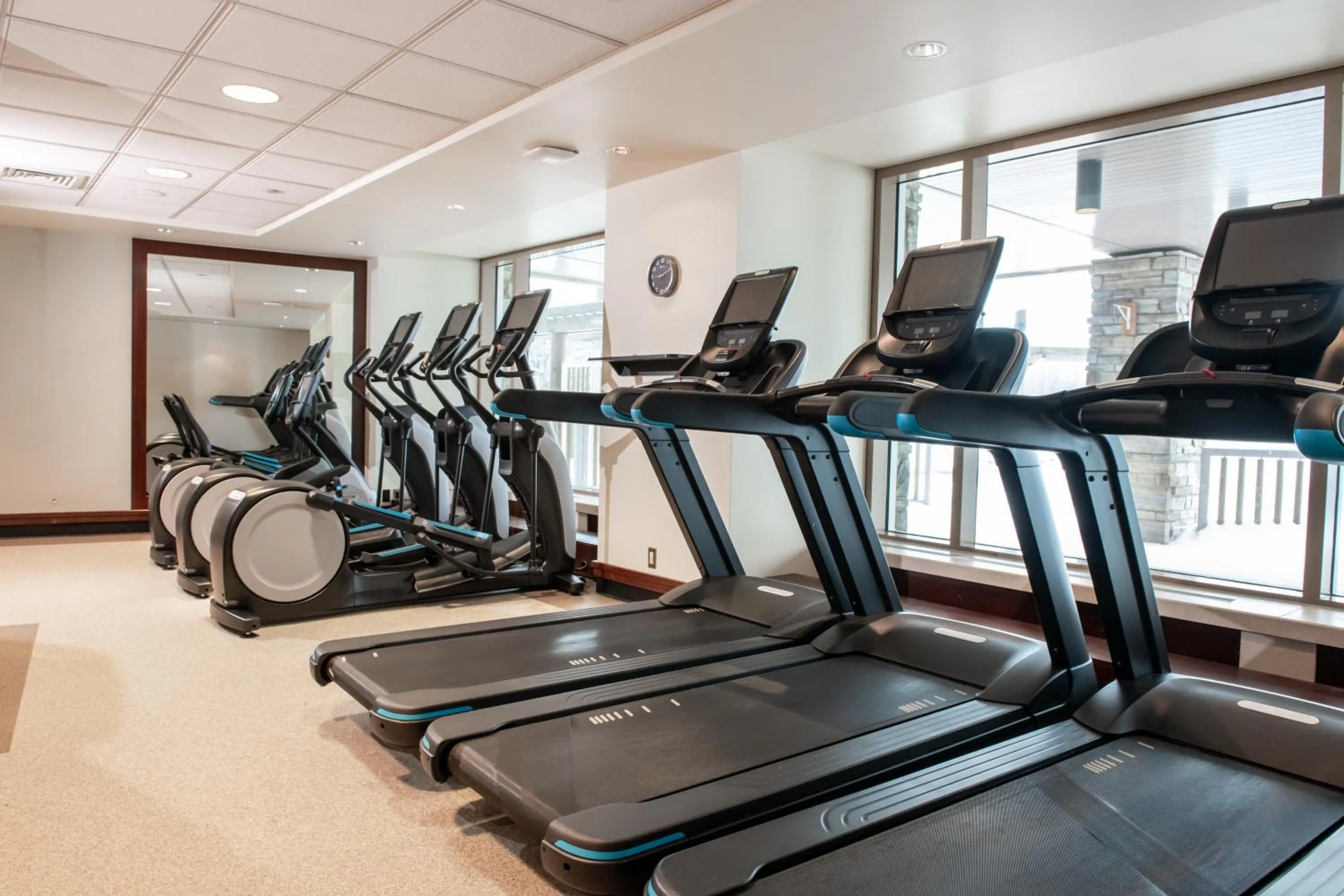 Fitness centre/facilities in Hilton Lac-Leamy
