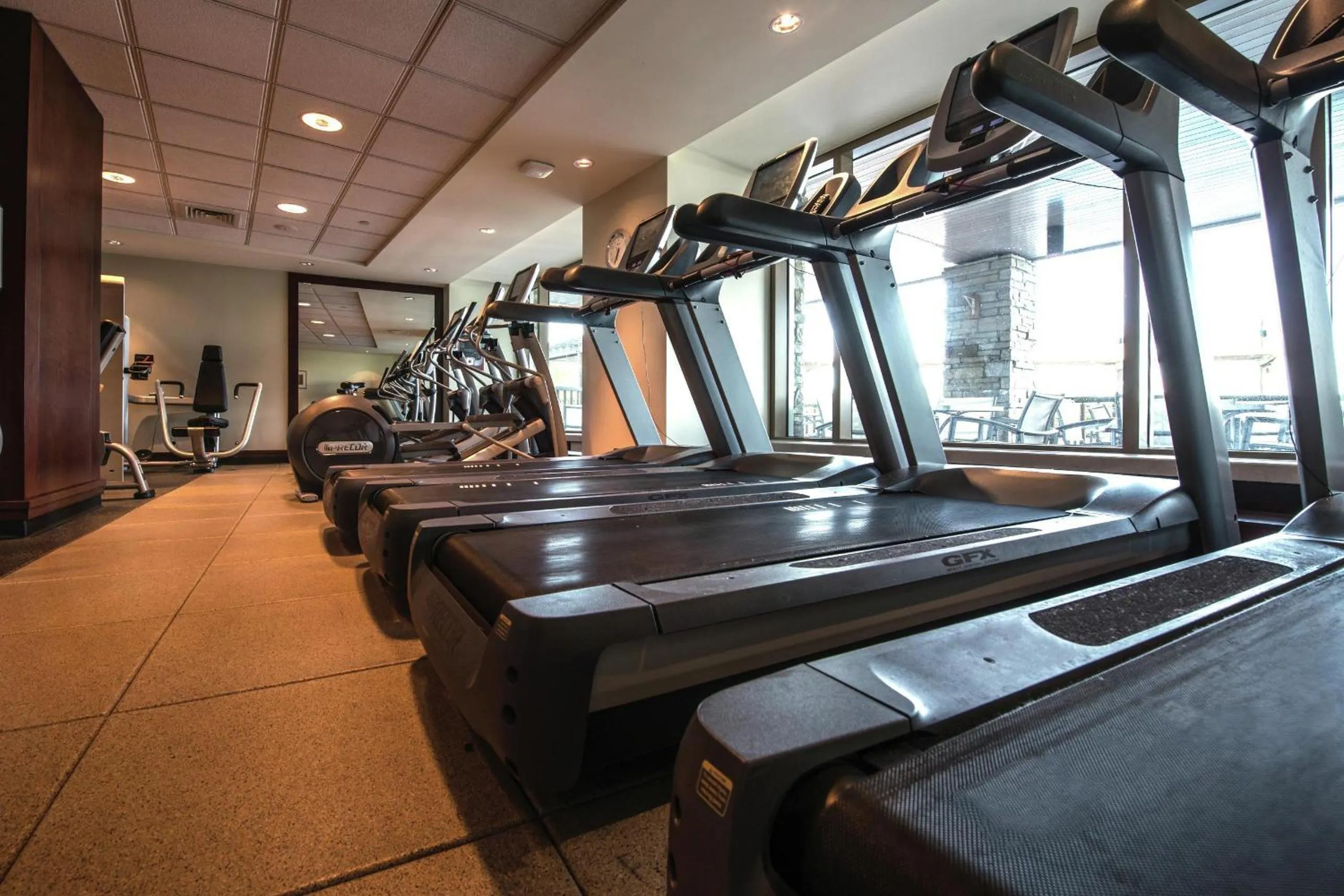 Fitness centre/facilities in Hilton Lac-Leamy