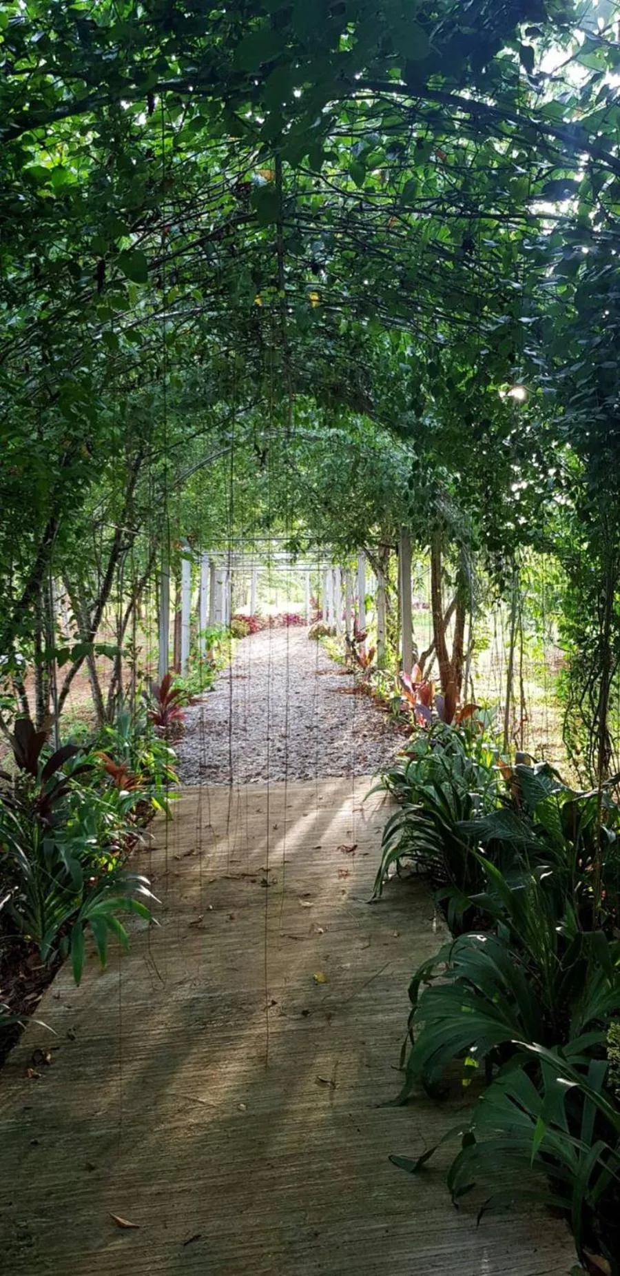 Garden in Hug Jang Loei Garden & Resort