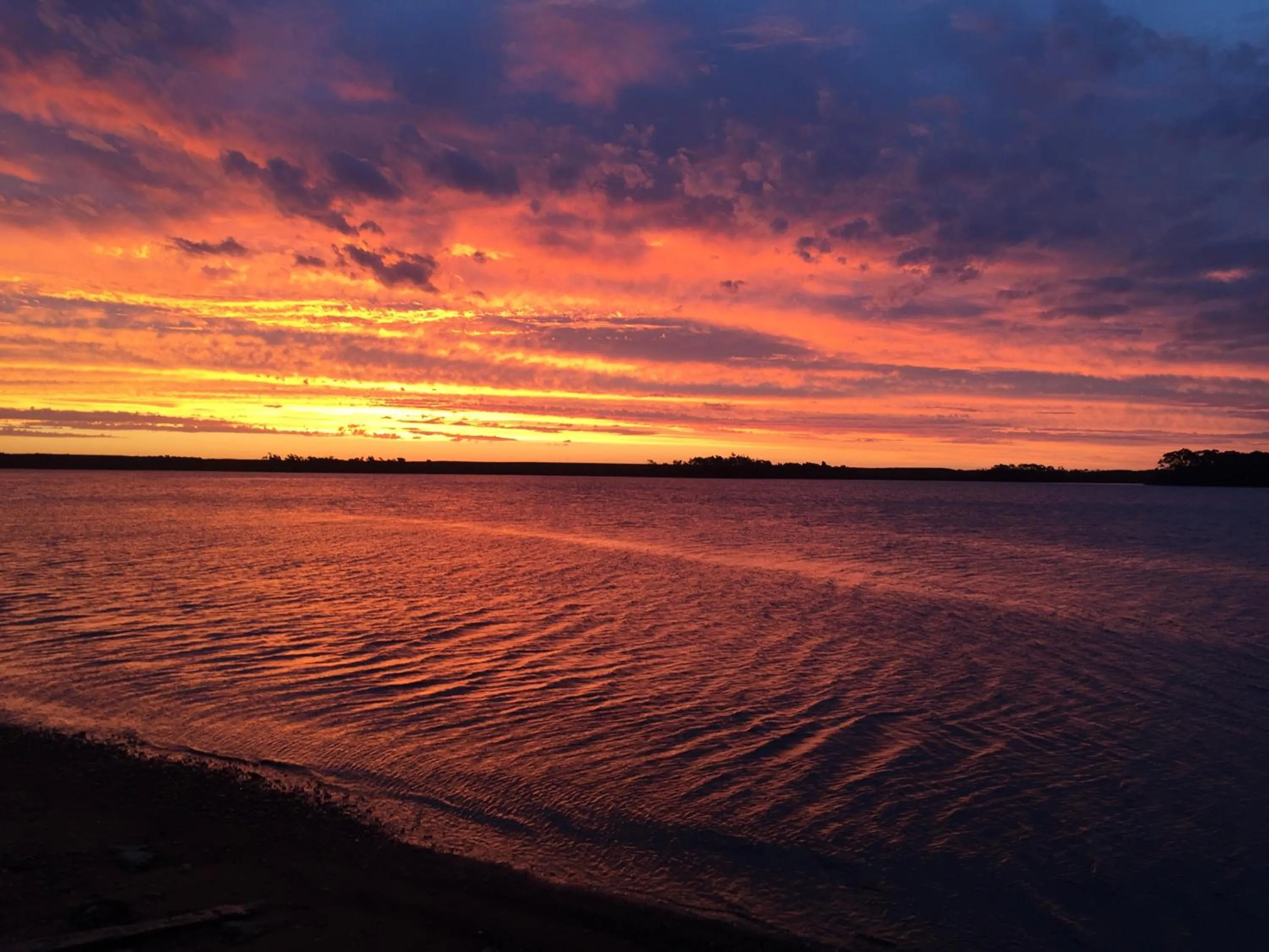 Regatta Point Tavern & Holiday Villas