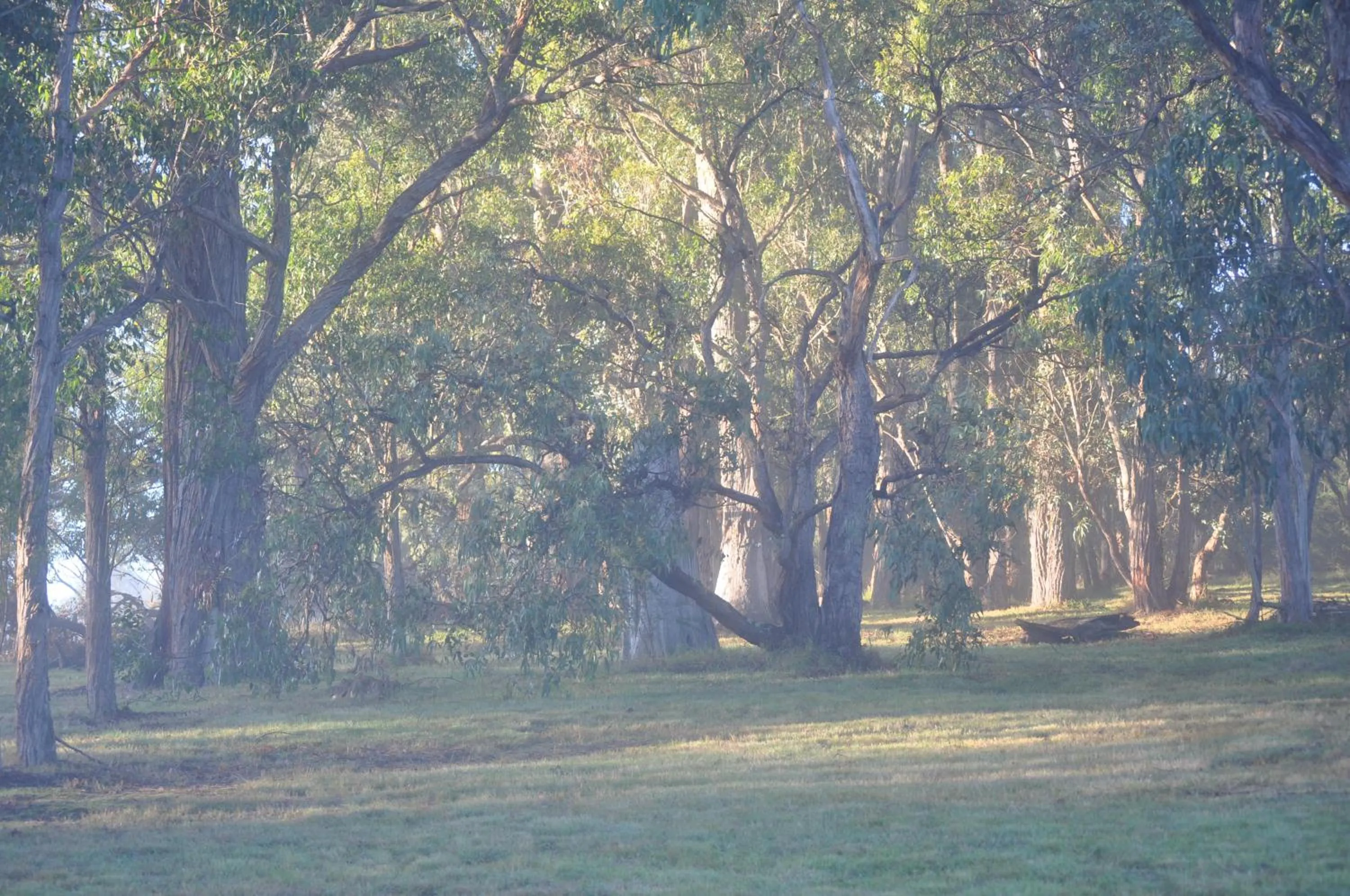 Tallawarra Homestead