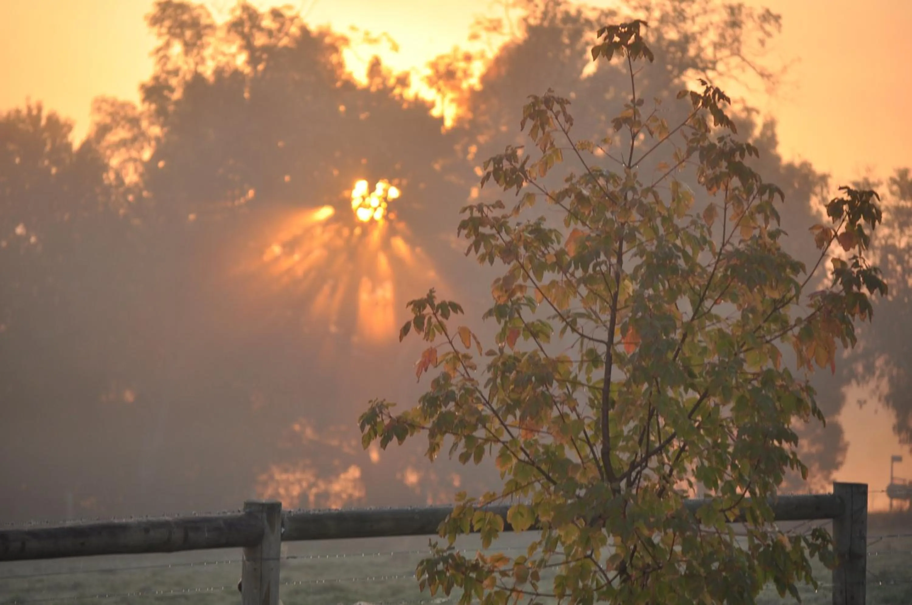 Tallawarra Homestead