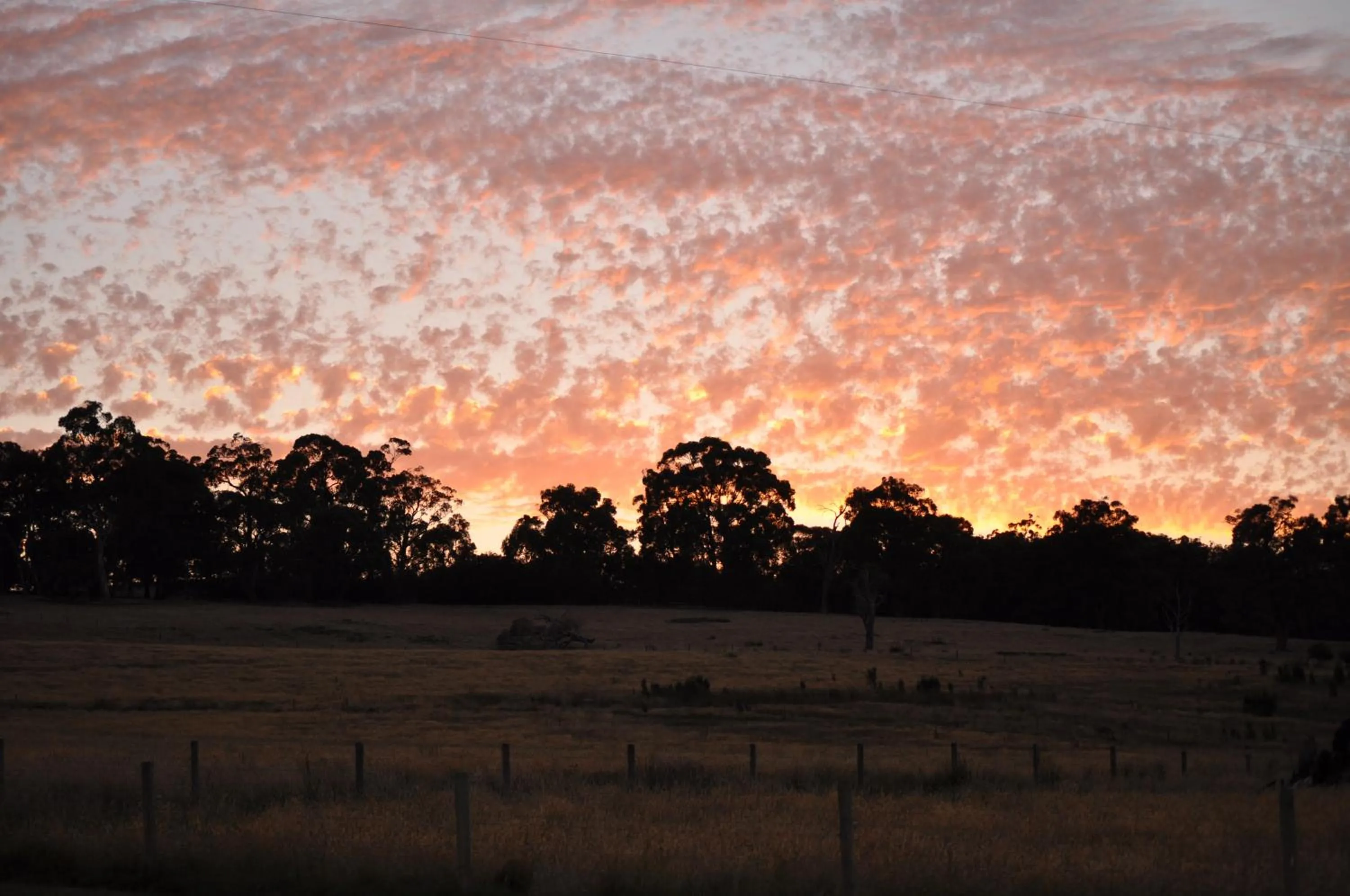 Tallawarra Homestead