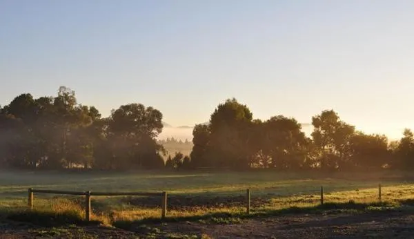 Tallawarra Homestead