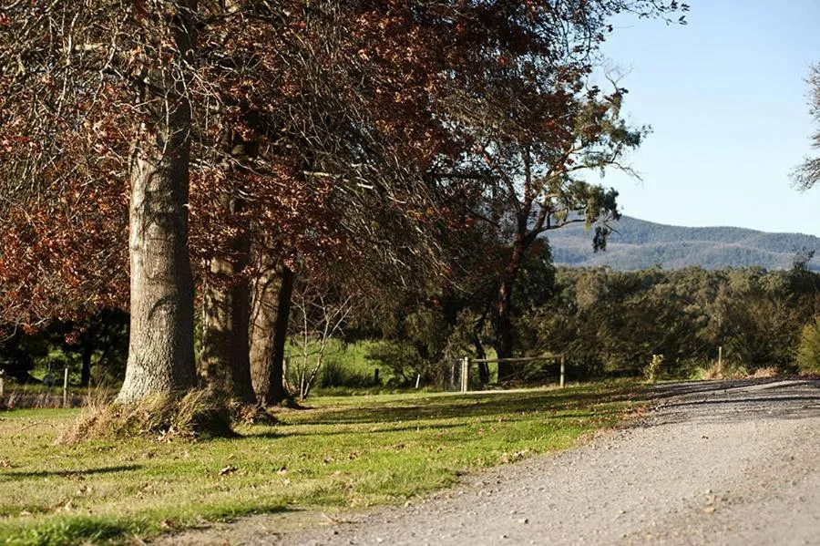 Tallawarra Homestead