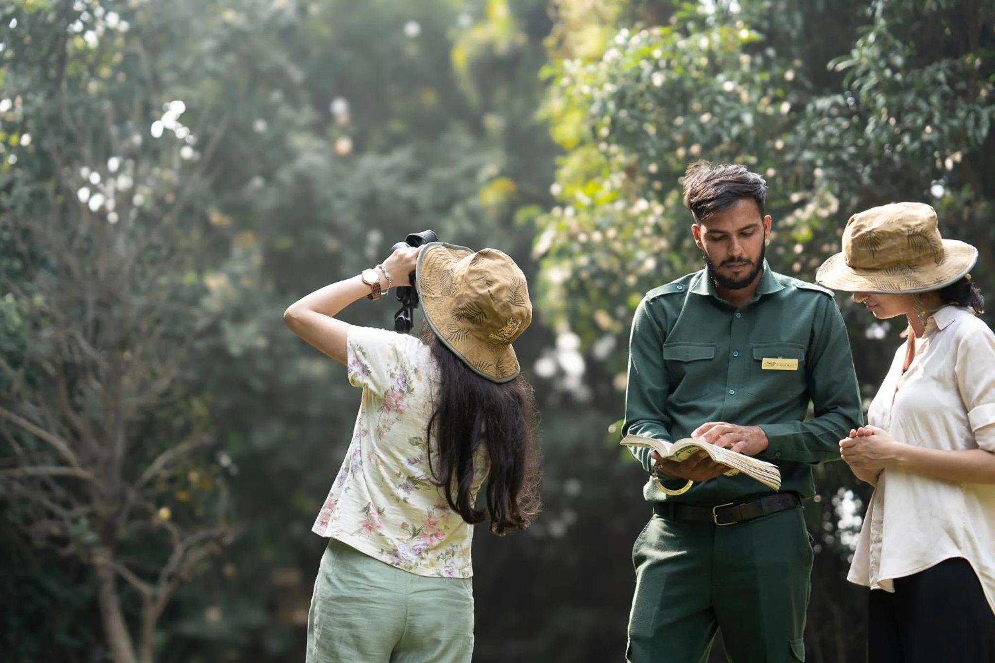 Bird's eye view in Aahana Resort - Jim Corbett