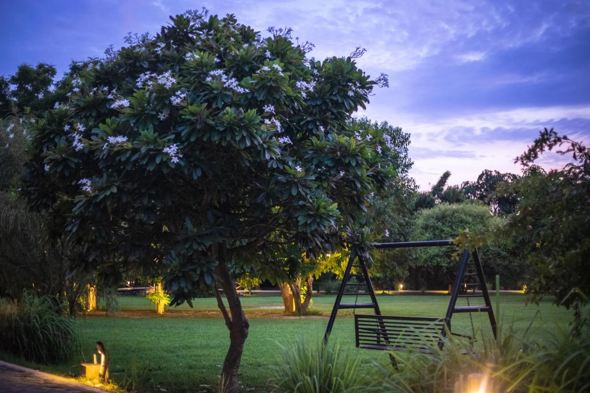 Garden in Aahana Resort - Jim Corbett