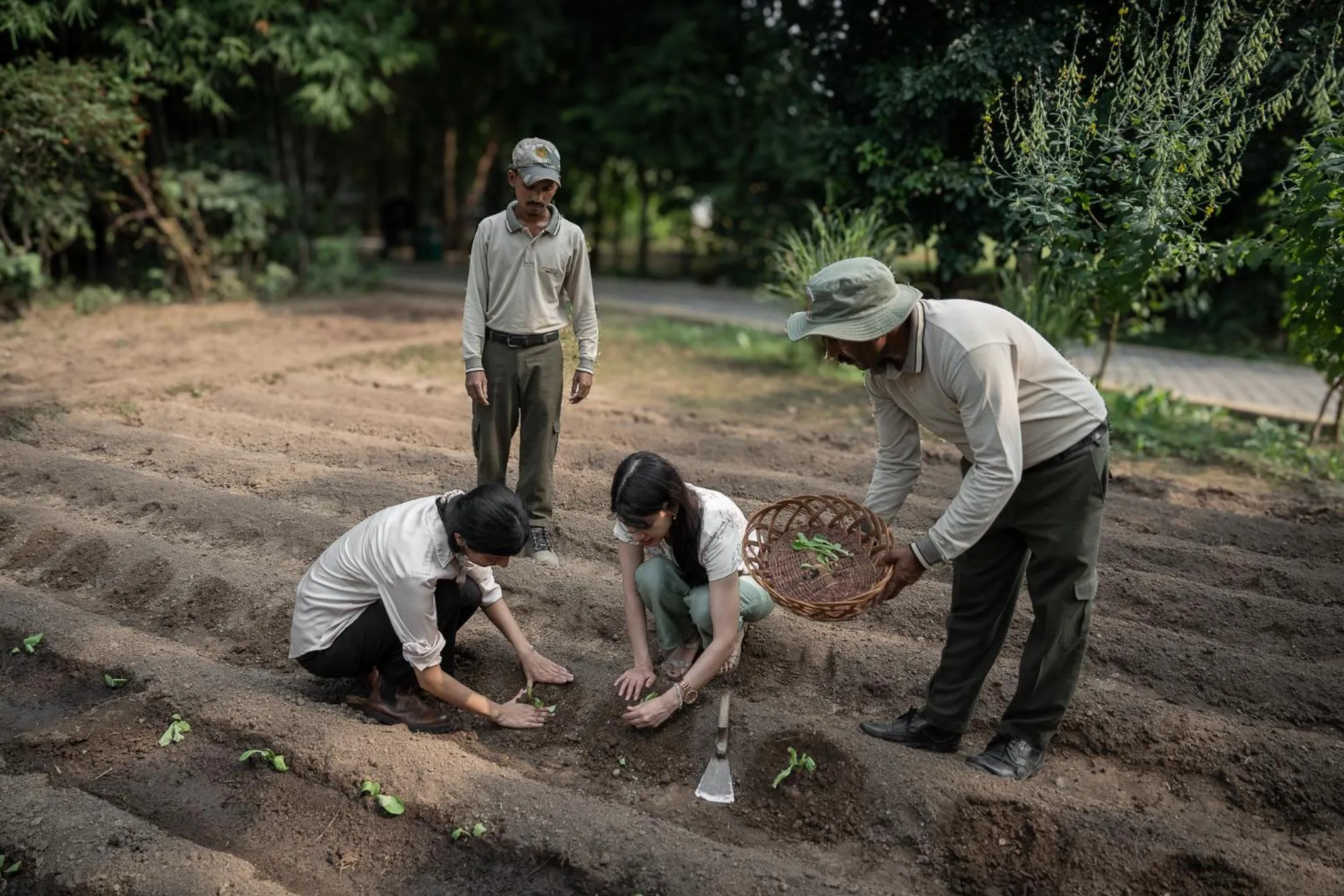 Activities in Aahana Resort - Jim Corbett