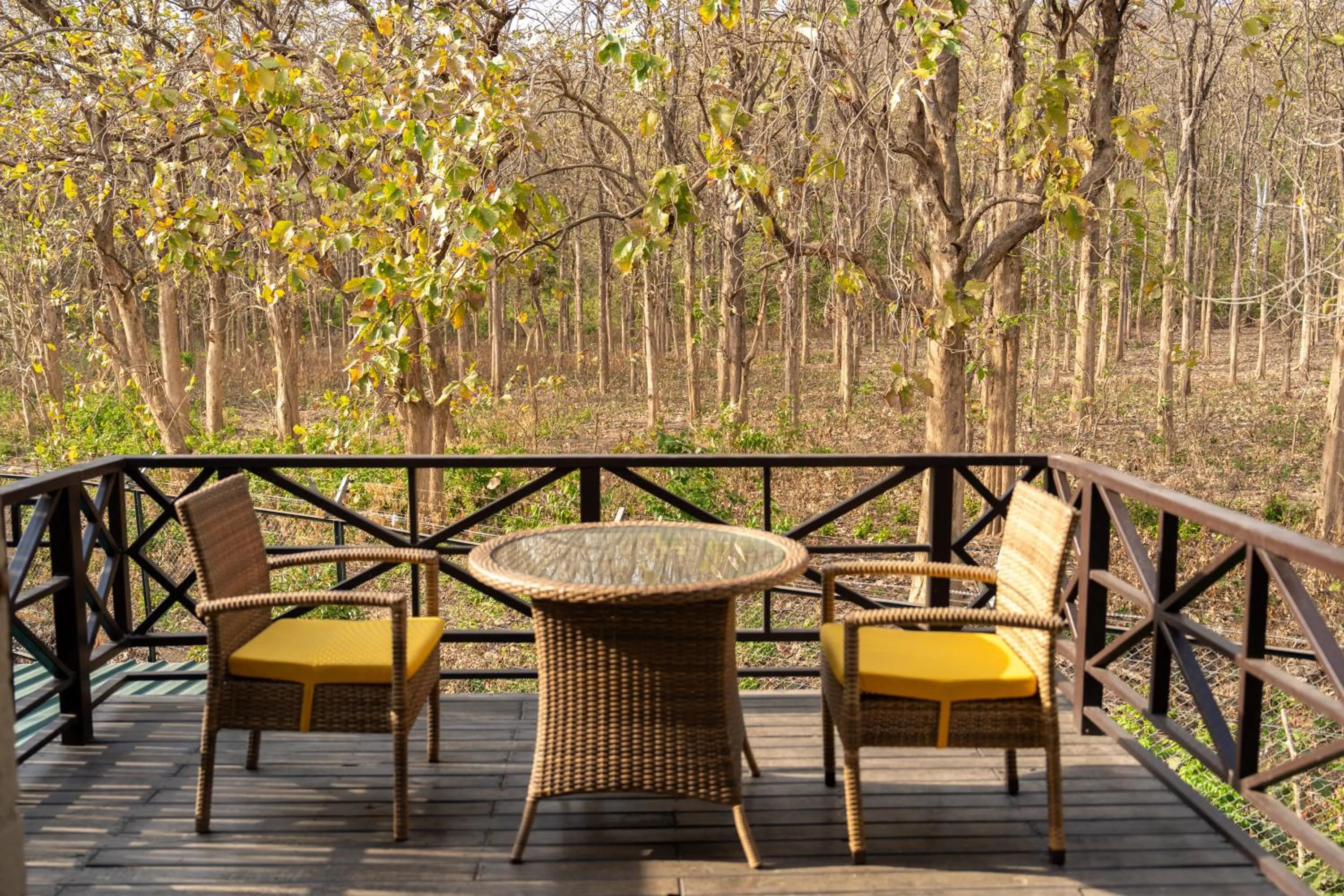 View (from property/room) in Aahana Resort - Jim Corbett
